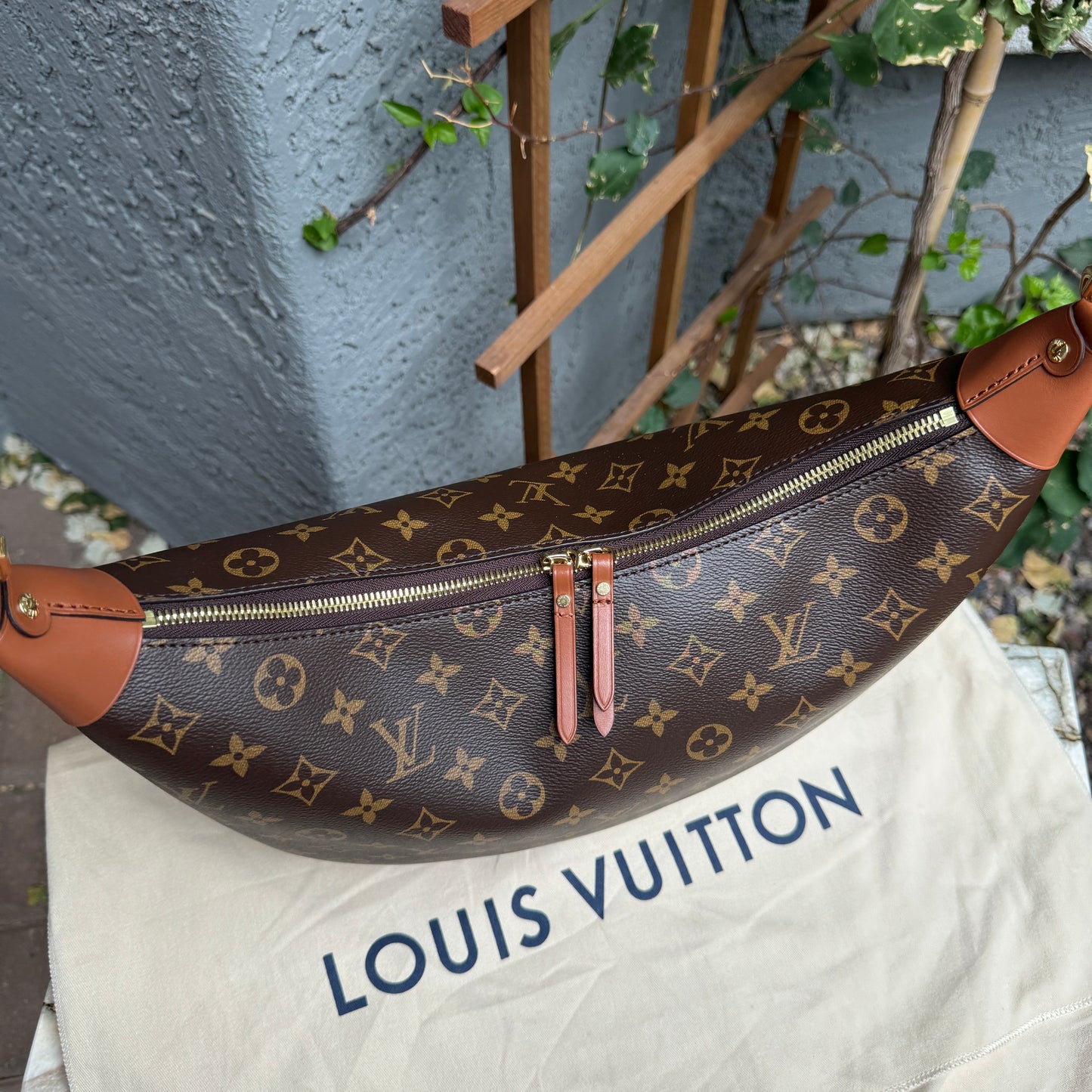 Louis Vuitton Loop Hobo