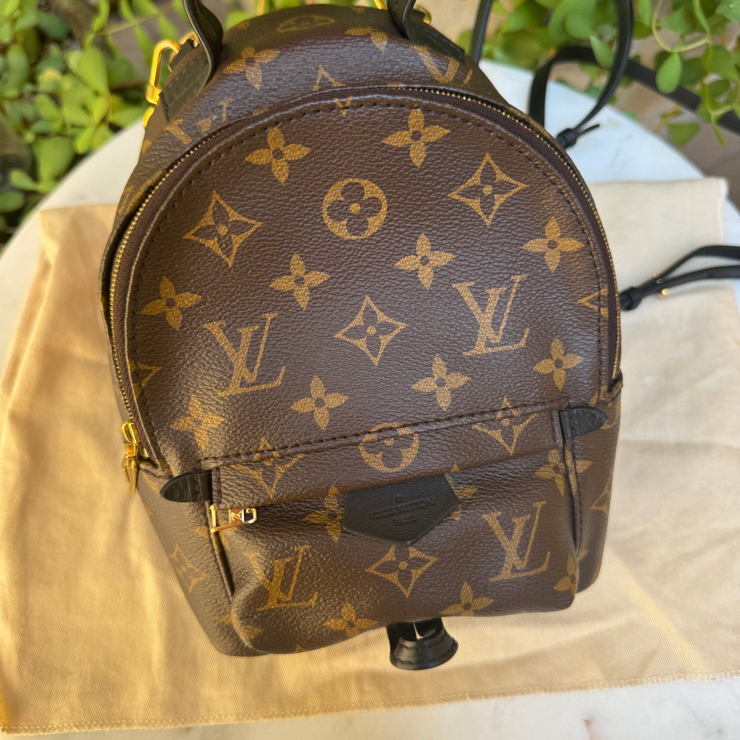 Louis Vuitton Monogram Mini Palm Springs Backpack