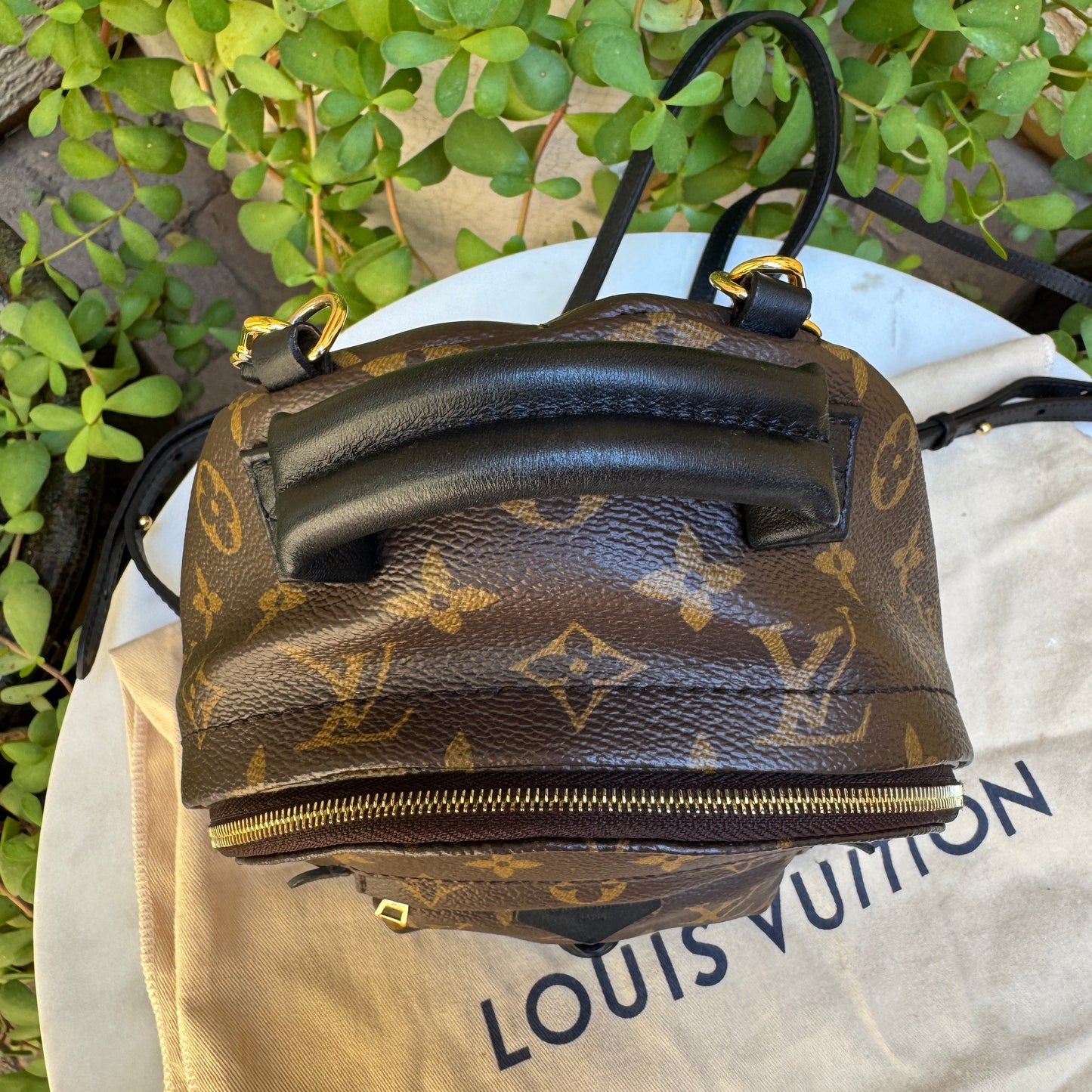 Louis Vuitton Monogram Mini Palm Springs Backpack