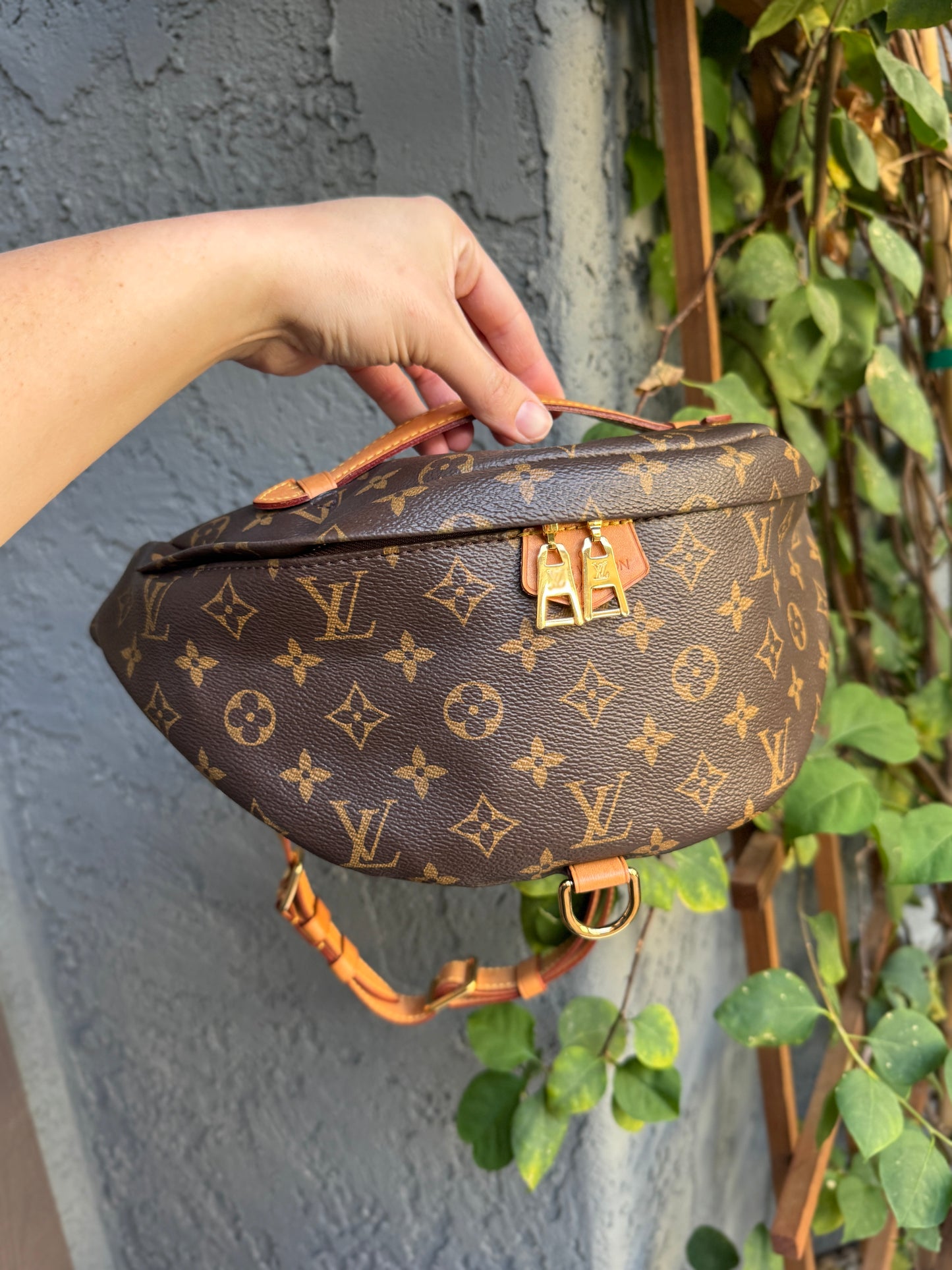 Louis Vuitton Monogram Bumbag