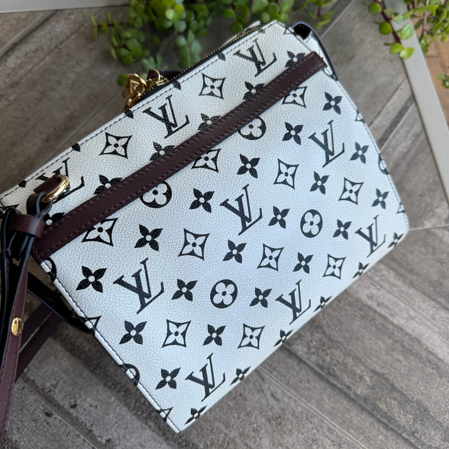 Louis Vuitton Monogram Speedy Amazon PM