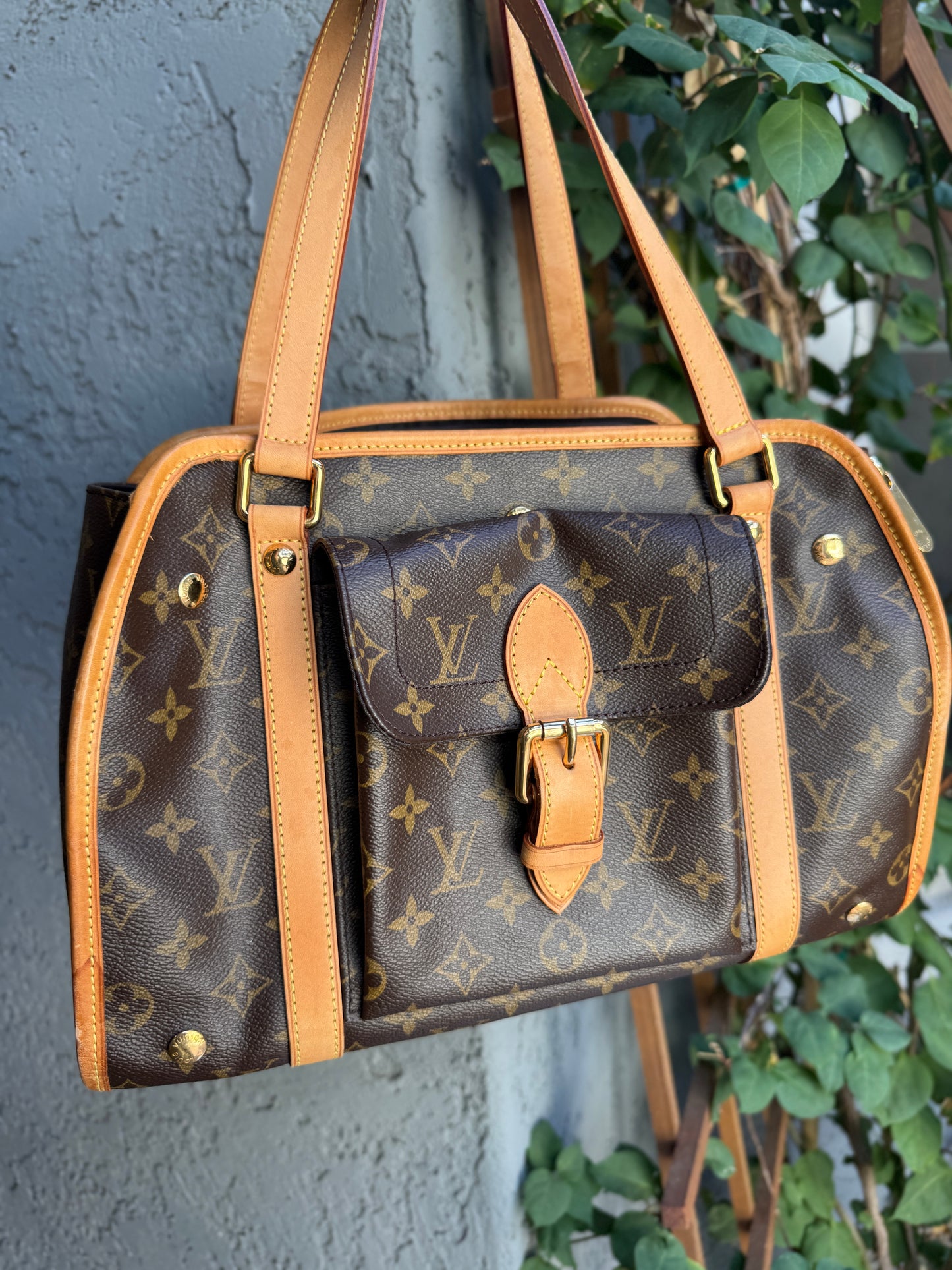Louis Vuitton Monogram Baxter PM Dog Carrier