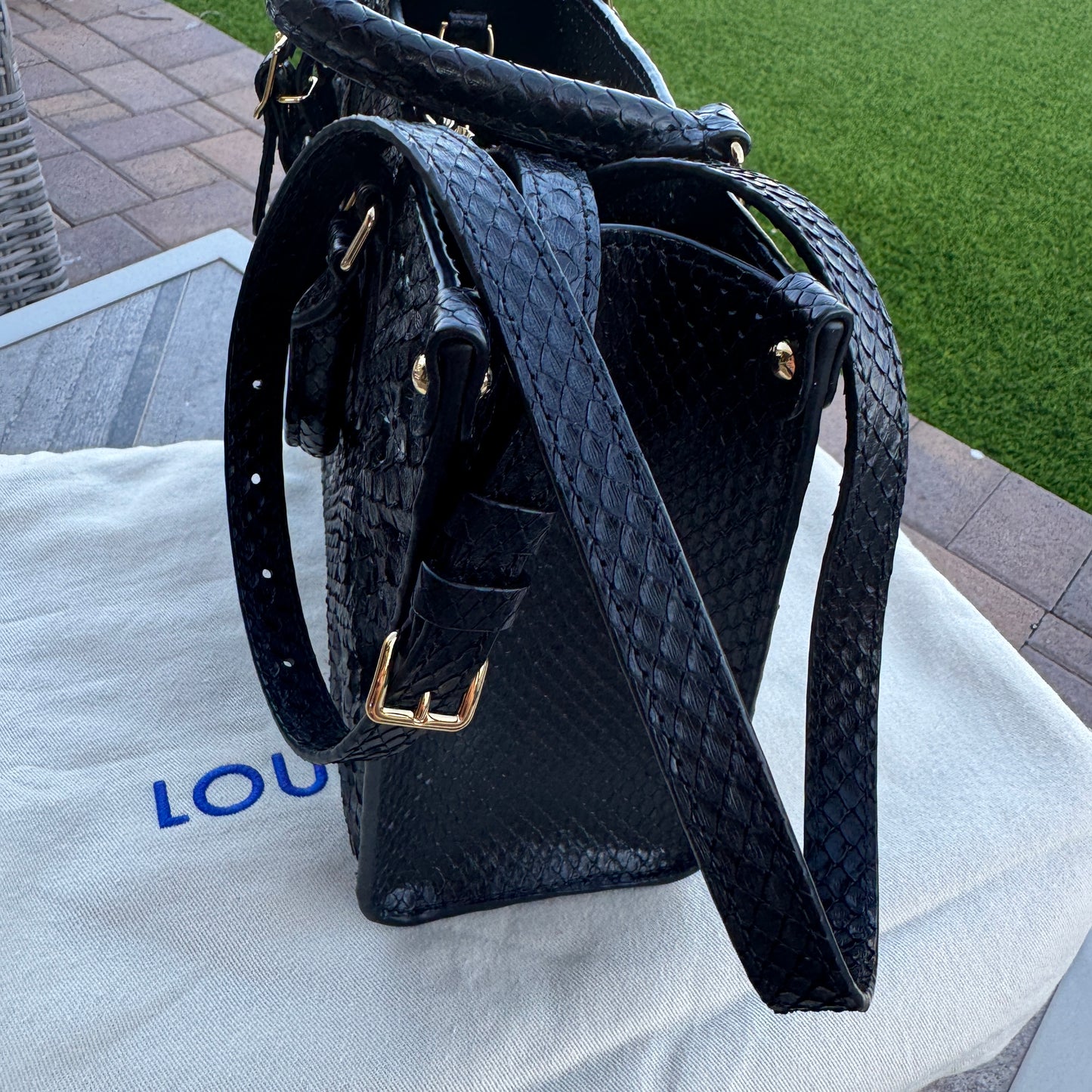 Louis Vuitton Python Onthego PM Crossbody