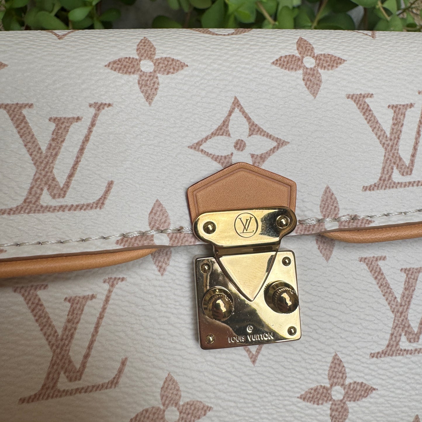 Louis Vuitton Monogram Dune Camille Pochette