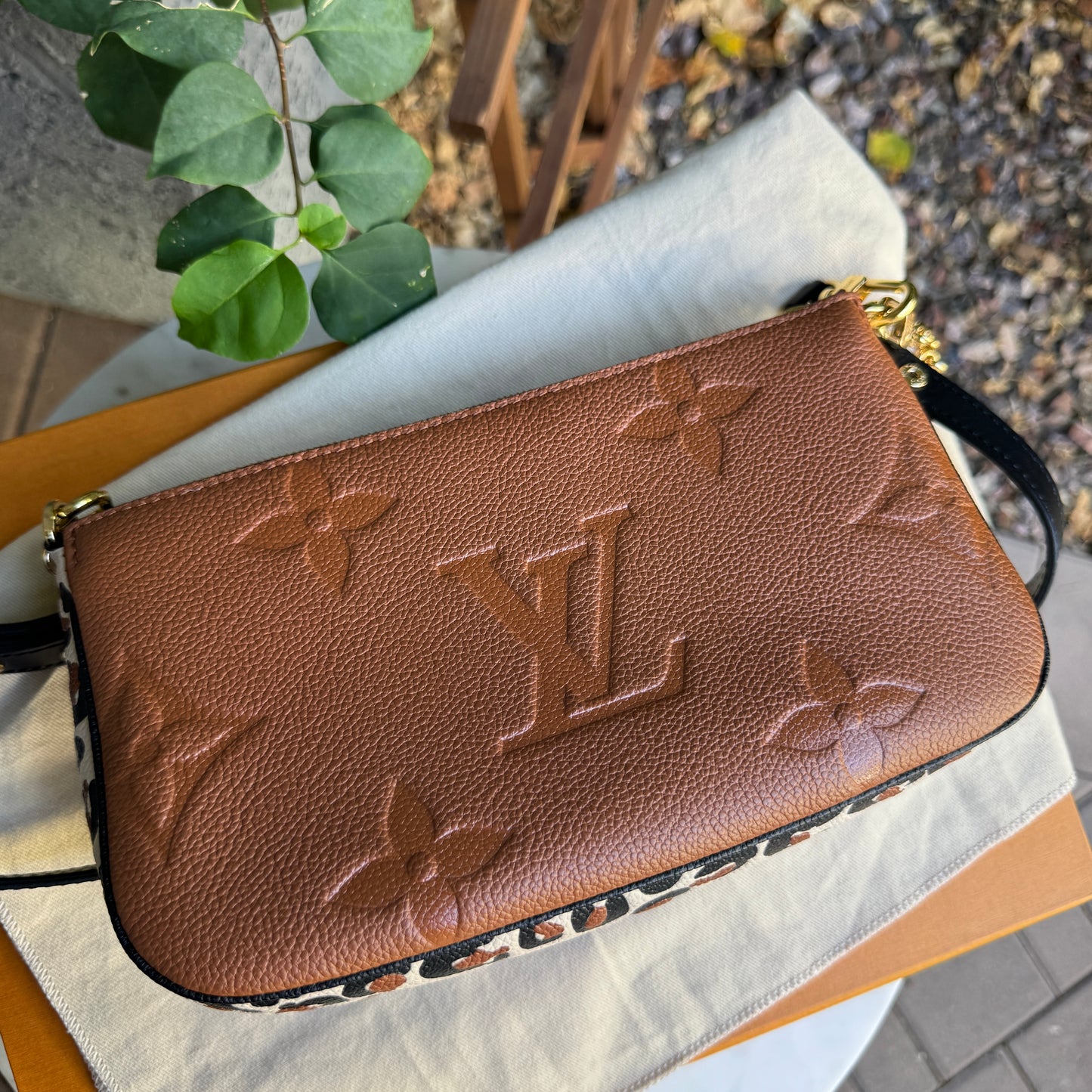 Louis Vuitton Wild at Heart Multi Pochette Accessoires