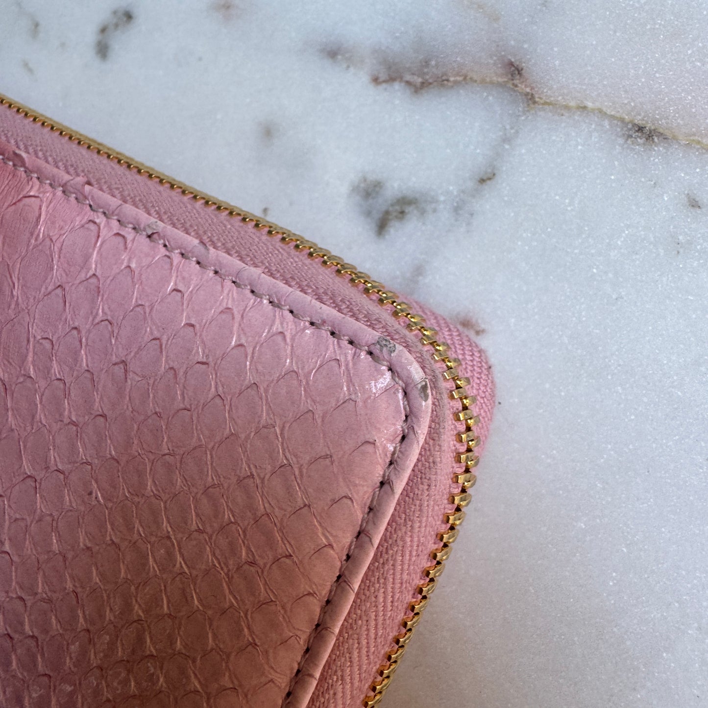 Gucci Ombré Python Zippy Wallet