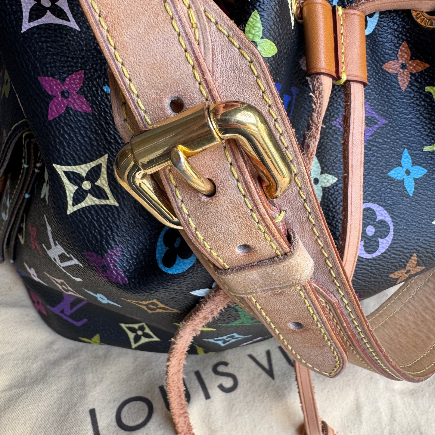 Louis Vuitton Multicolore Petit Noe Bucket Drawstring Shoulder Bag