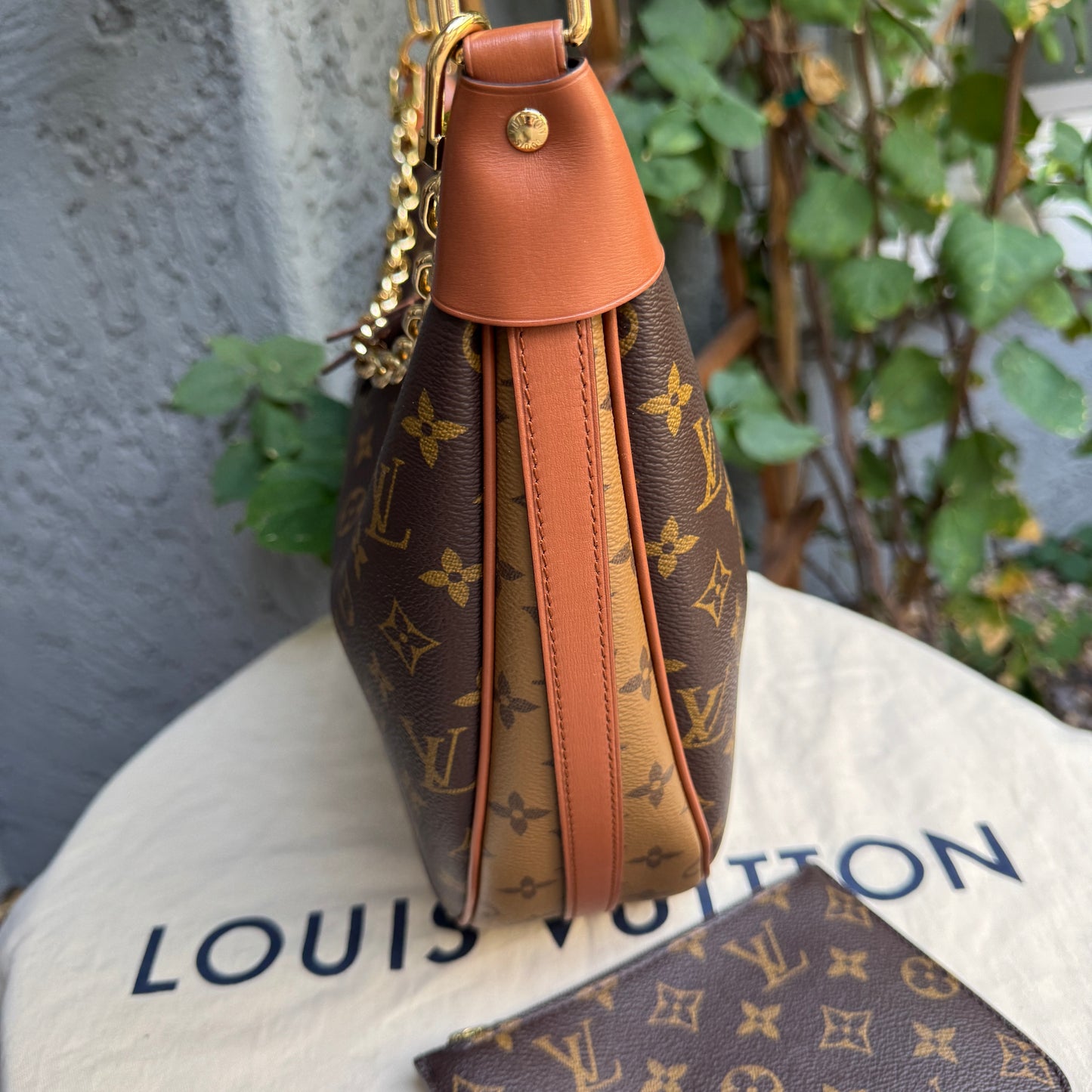 Louis Vuitton Reverse Monogram Loop Hobo Shoulder Bag