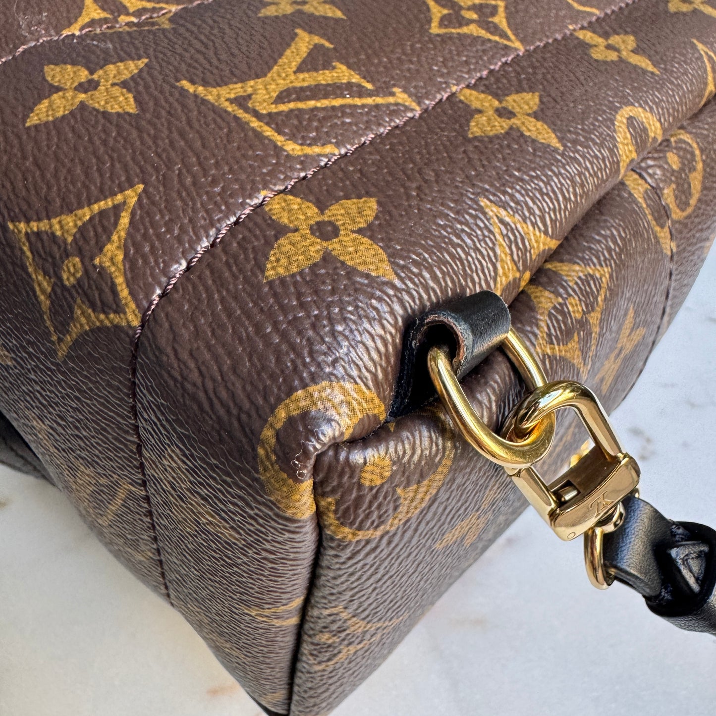 Louis Vuitton Monogram Mini Palm Springs Backpack