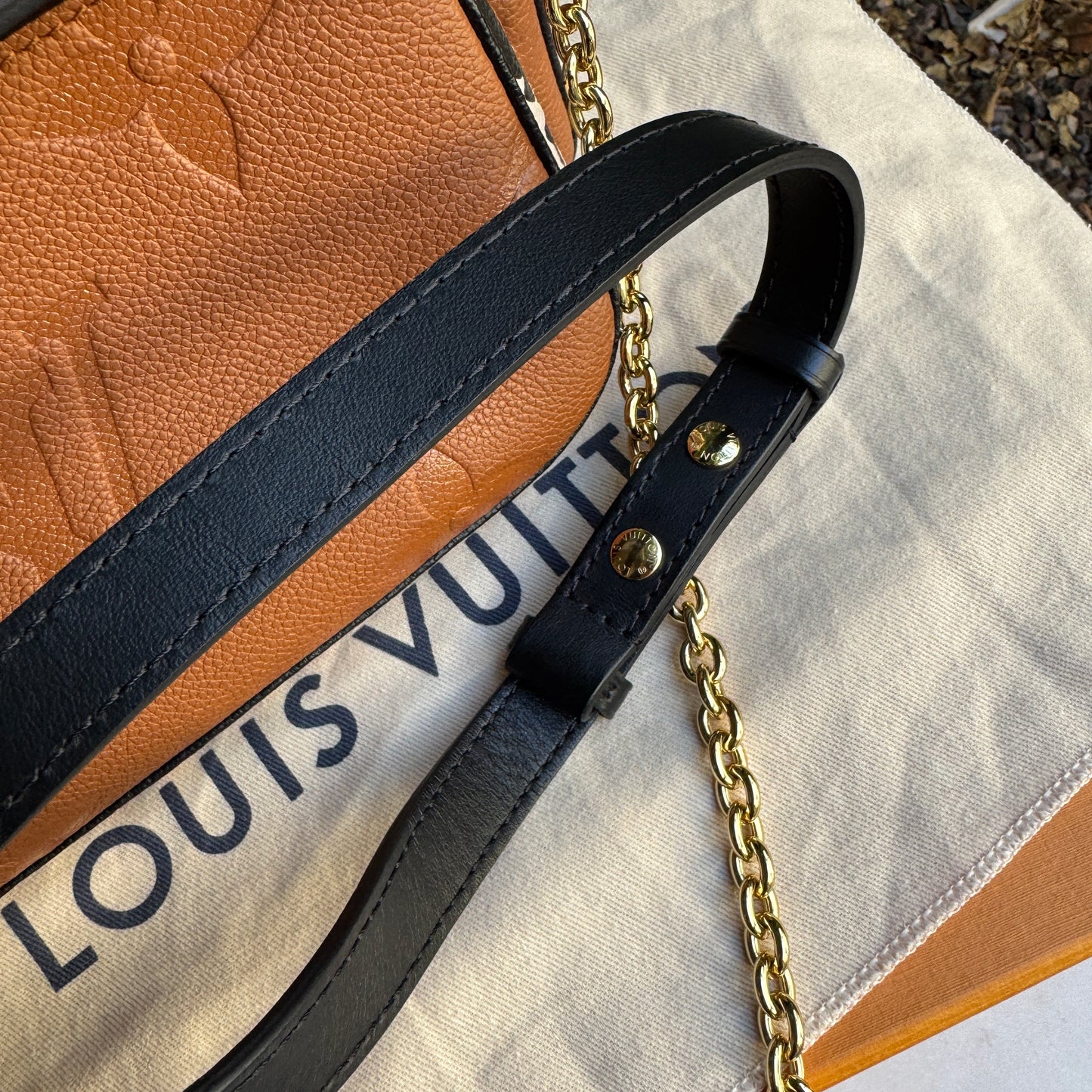 Louis Vuitton Wild at Heart Multi Pochette Accessoires