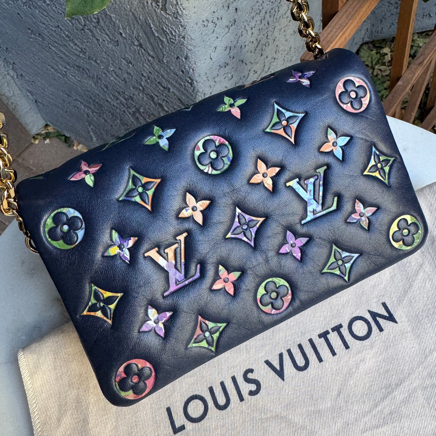 Louis Vuitton Multicolor Garden Pochette Coussin Crossbody