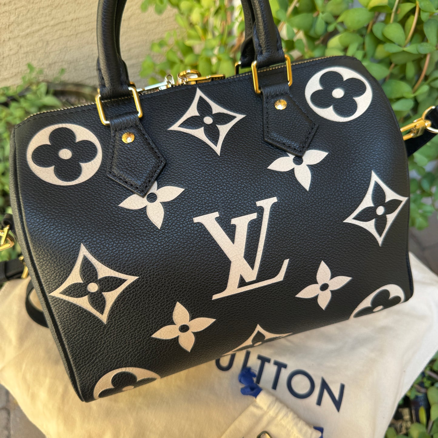 Louis Vuitton Speedy Bandoulière 25