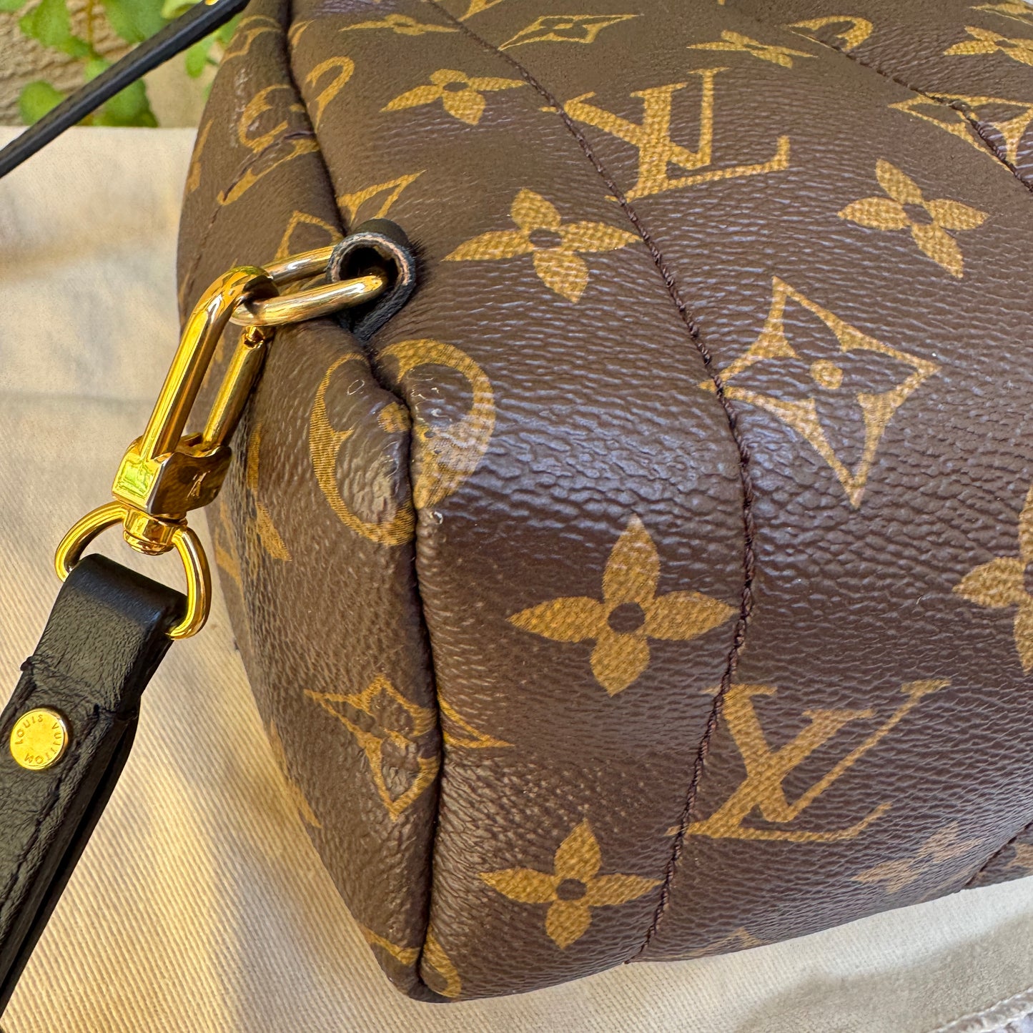 Louis Vuitton Monogram Mini Palm Springs Backpack