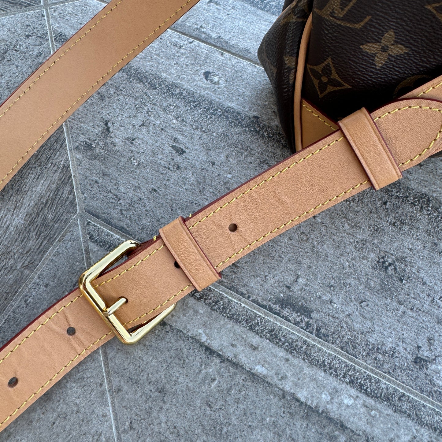 Louis Vuitton Monogram Odeon PM NM Crossbody