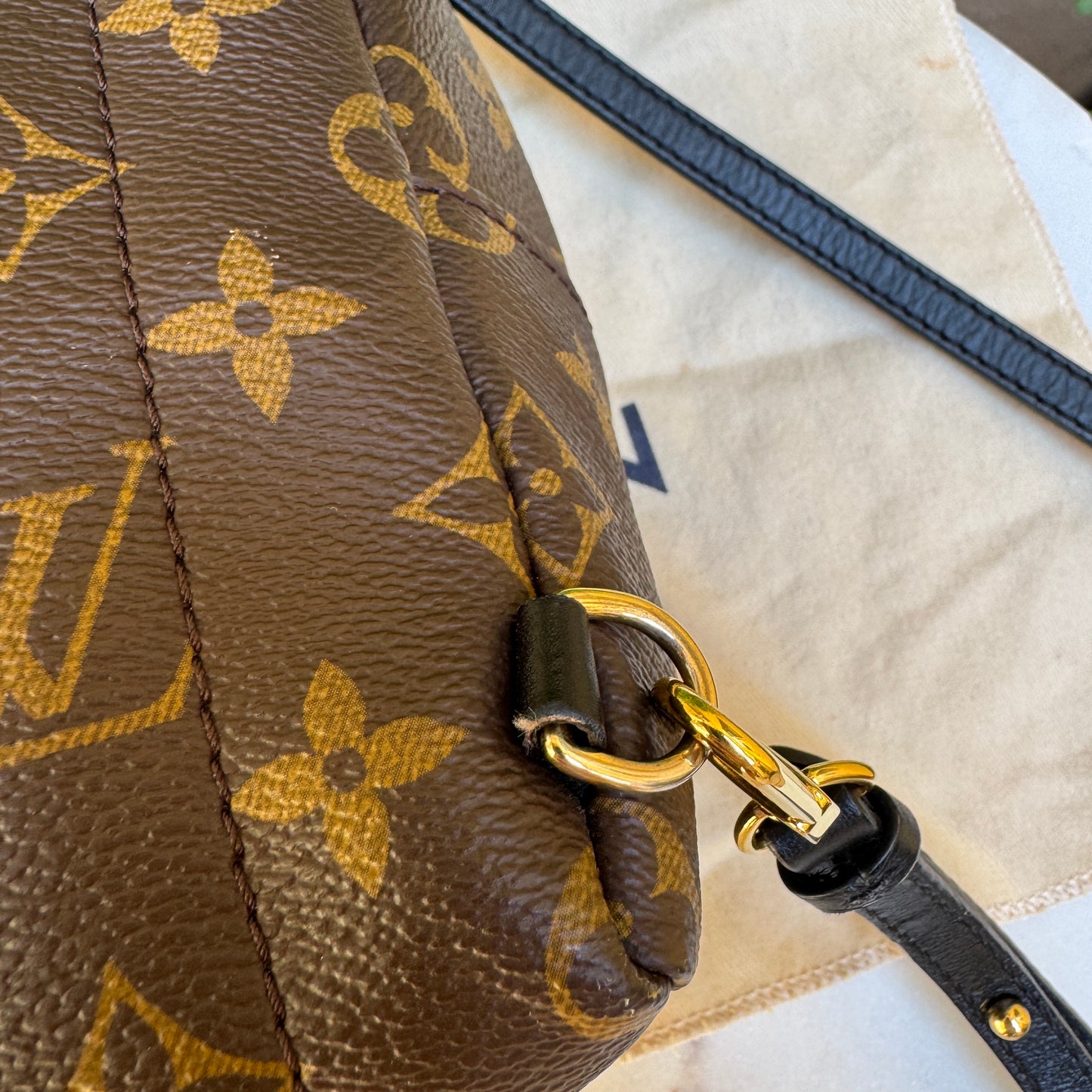 Louis Vuitton Monogram Mini Palm Springs Backpack