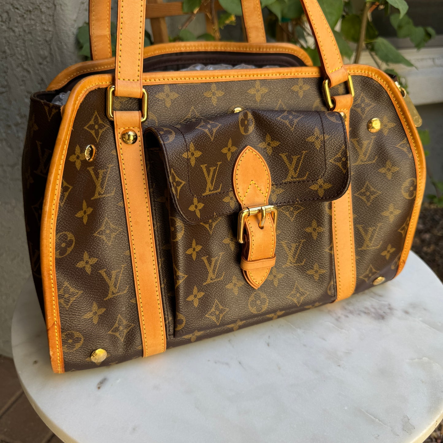 Louis Vuitton Monogram Baxter PM Dog Carrier