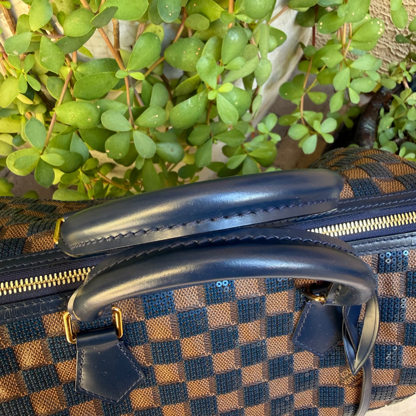 Louis Vuitton Damier Paillettes Speedy 30