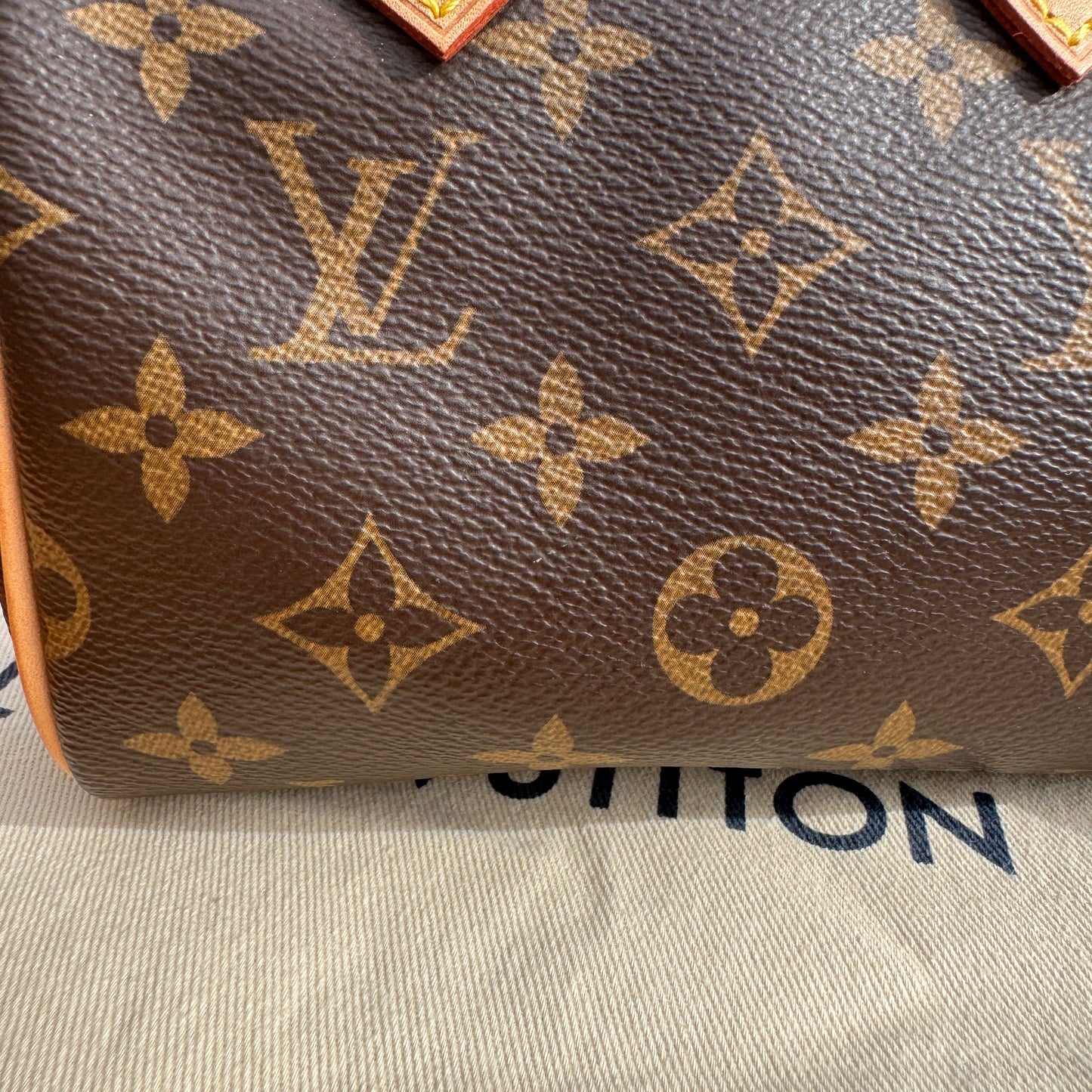 Louis Vuitton Monogram Nano Speedy Bandouliere