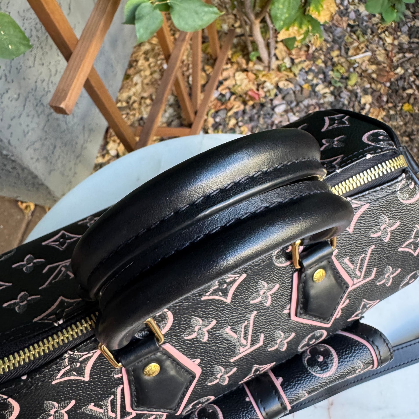 Louis Vuitton Monogram Fall for You Speedy Bandoulière 25