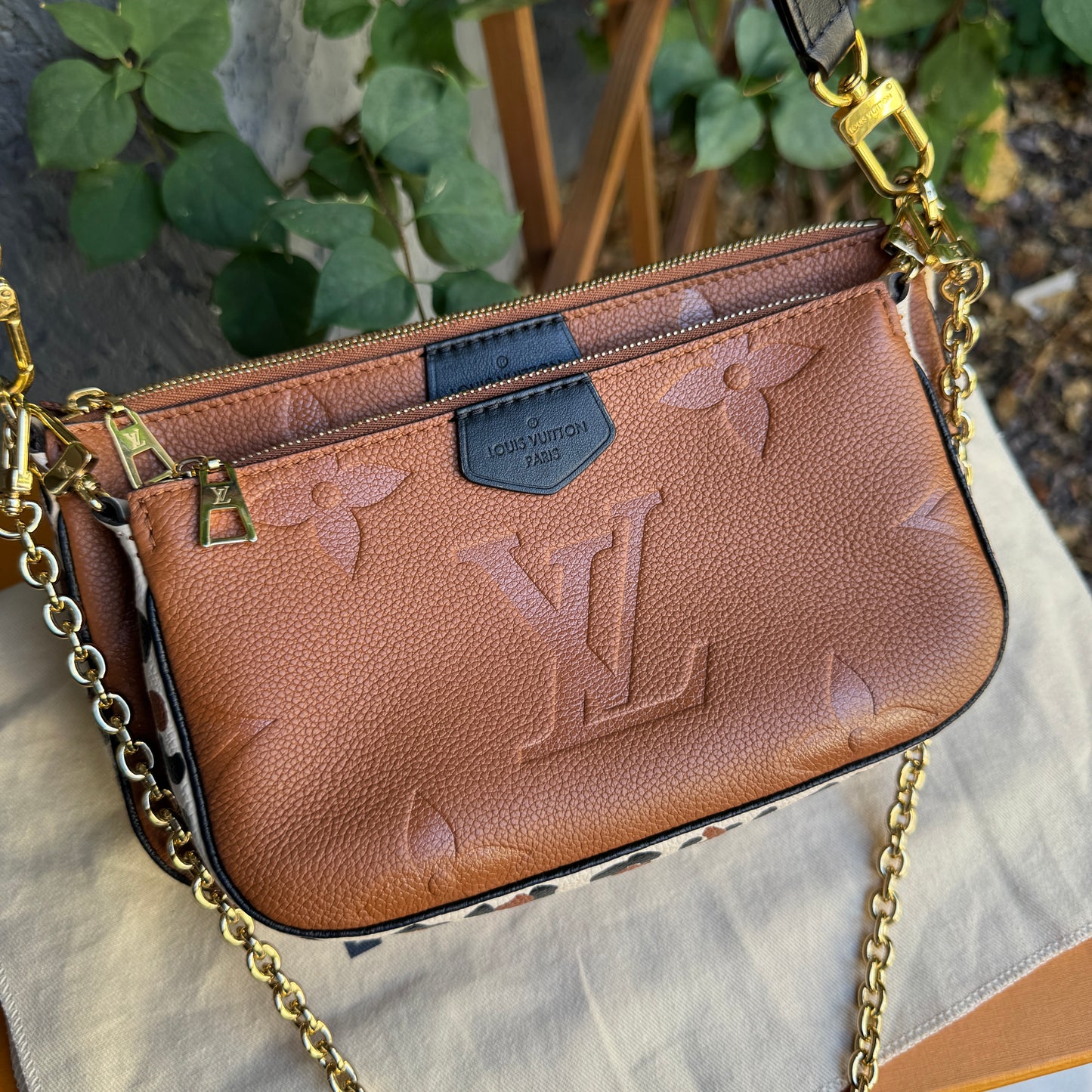 Louis Vuitton Wild at Heart Multi Pochette Accessoires