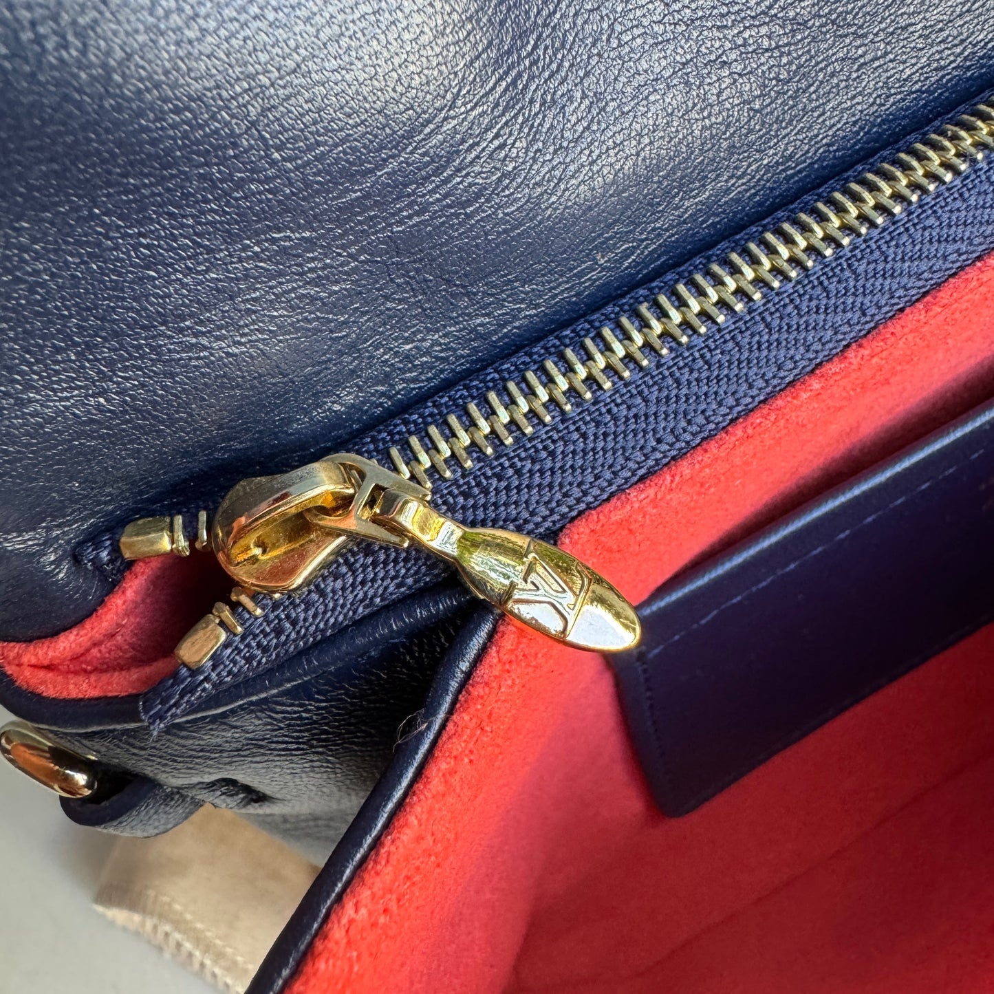 Louis Vuitton Multicolor Garden Pochette Coussin Crossbody