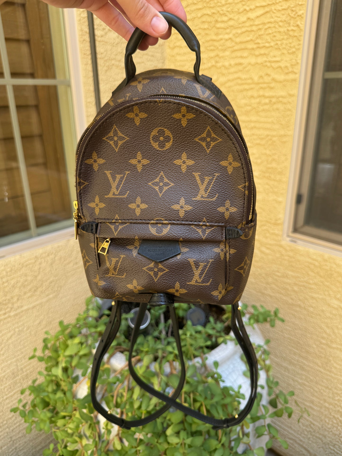 Louis Vuitton Monogram Mini Palm Springs Backpack