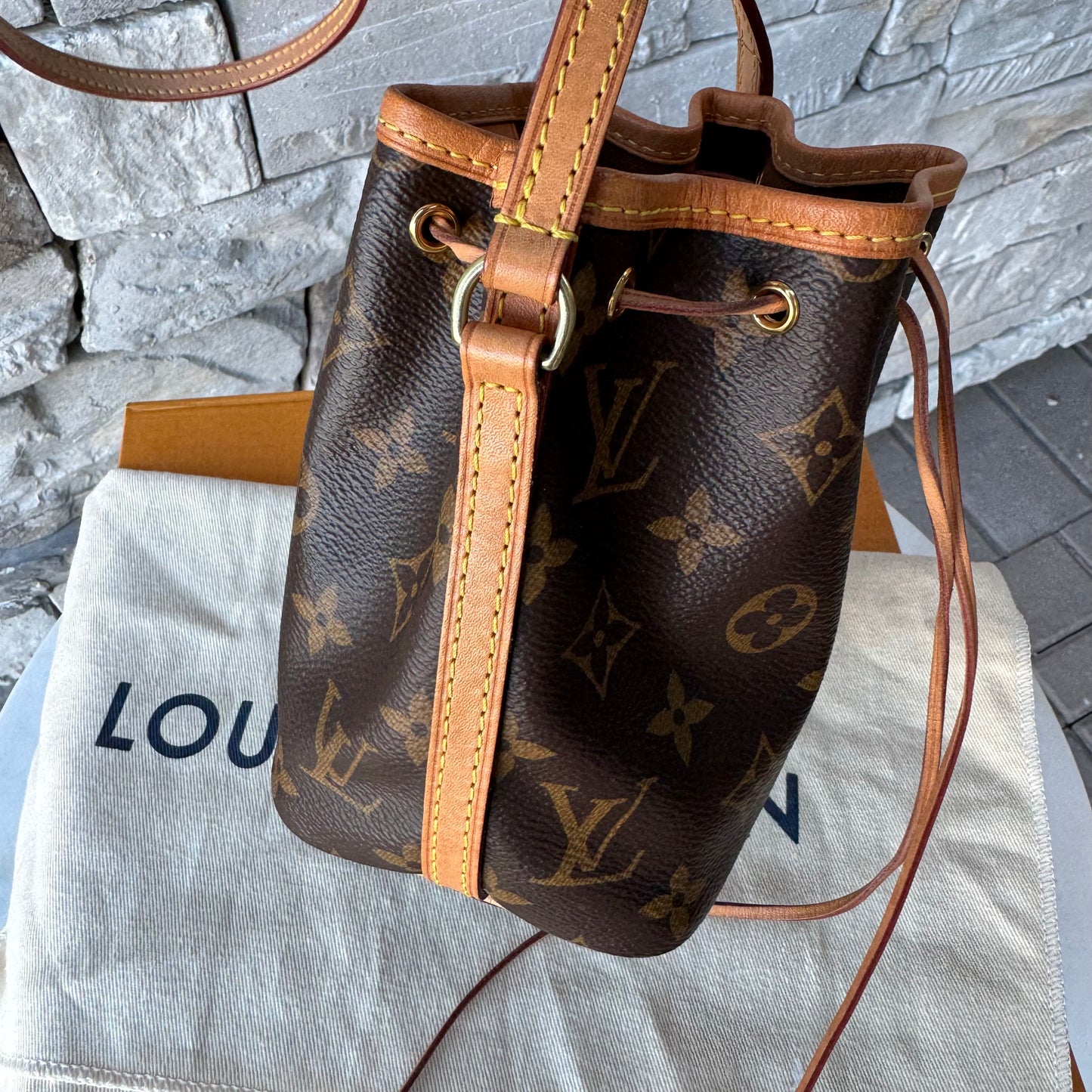 Louis Vuitton Monogram Nano Noe Bucket Bag