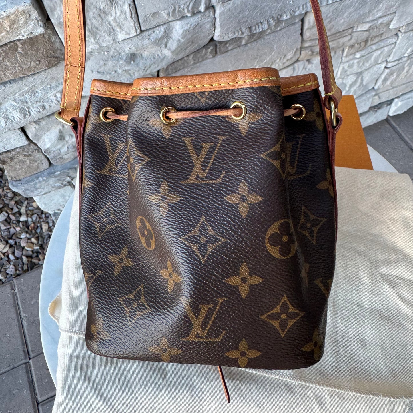 Louis Vuitton Monogram Nano Noe Bucket Bag