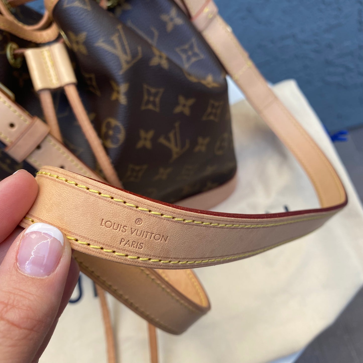Louis Vuitton Petit Noe Monogram Bucket Bag