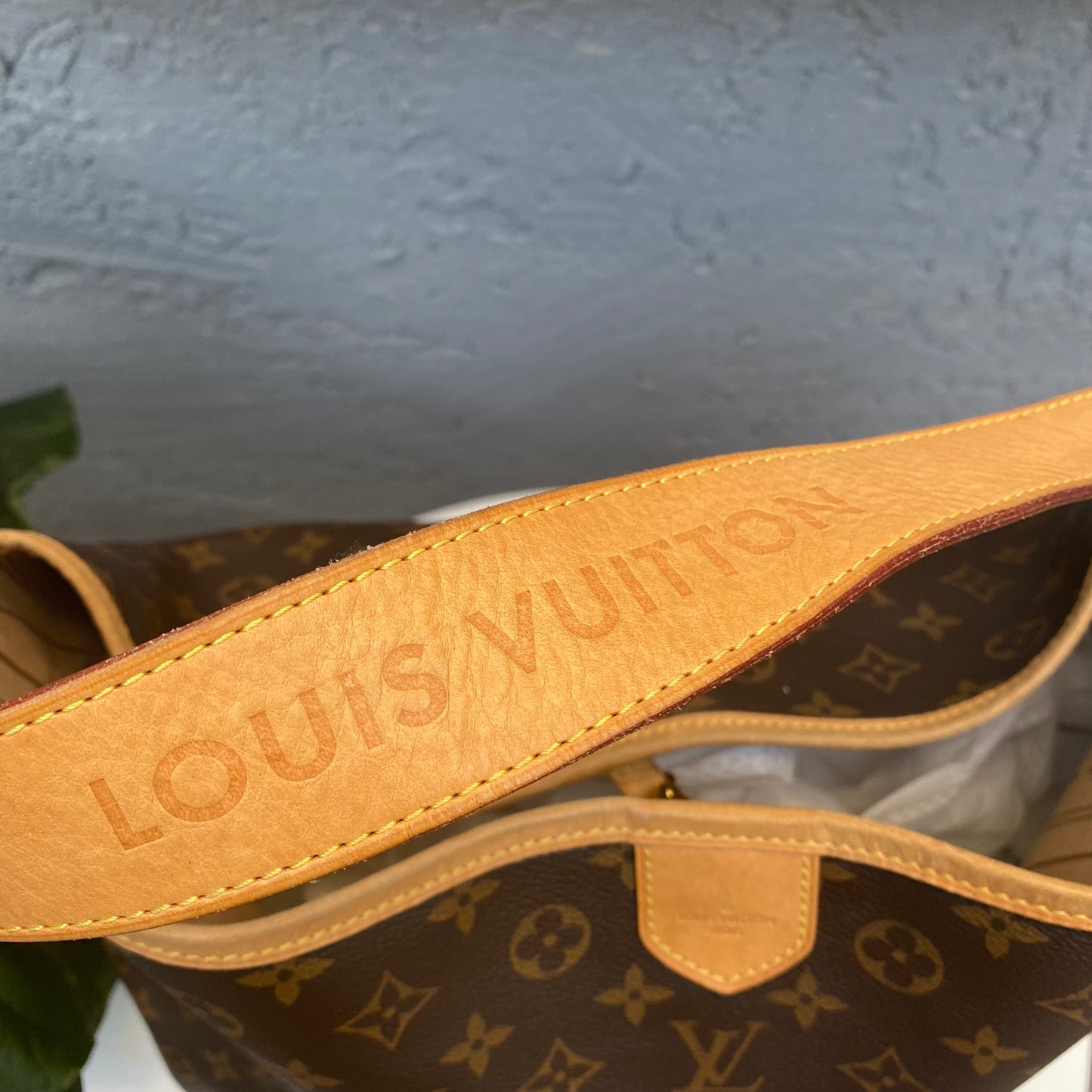 Louis Vuitton Monogram Delightful MM