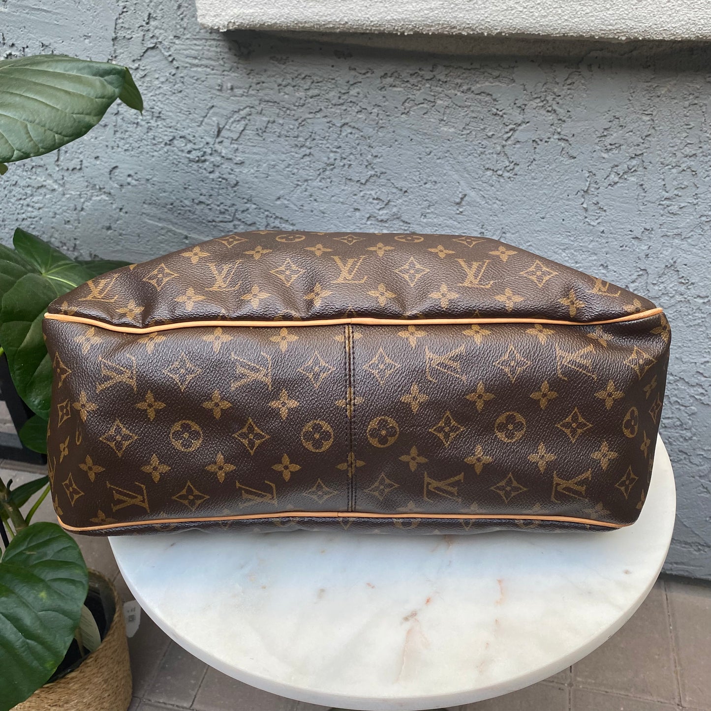 Louis Vuitton Monogram Delightful MM