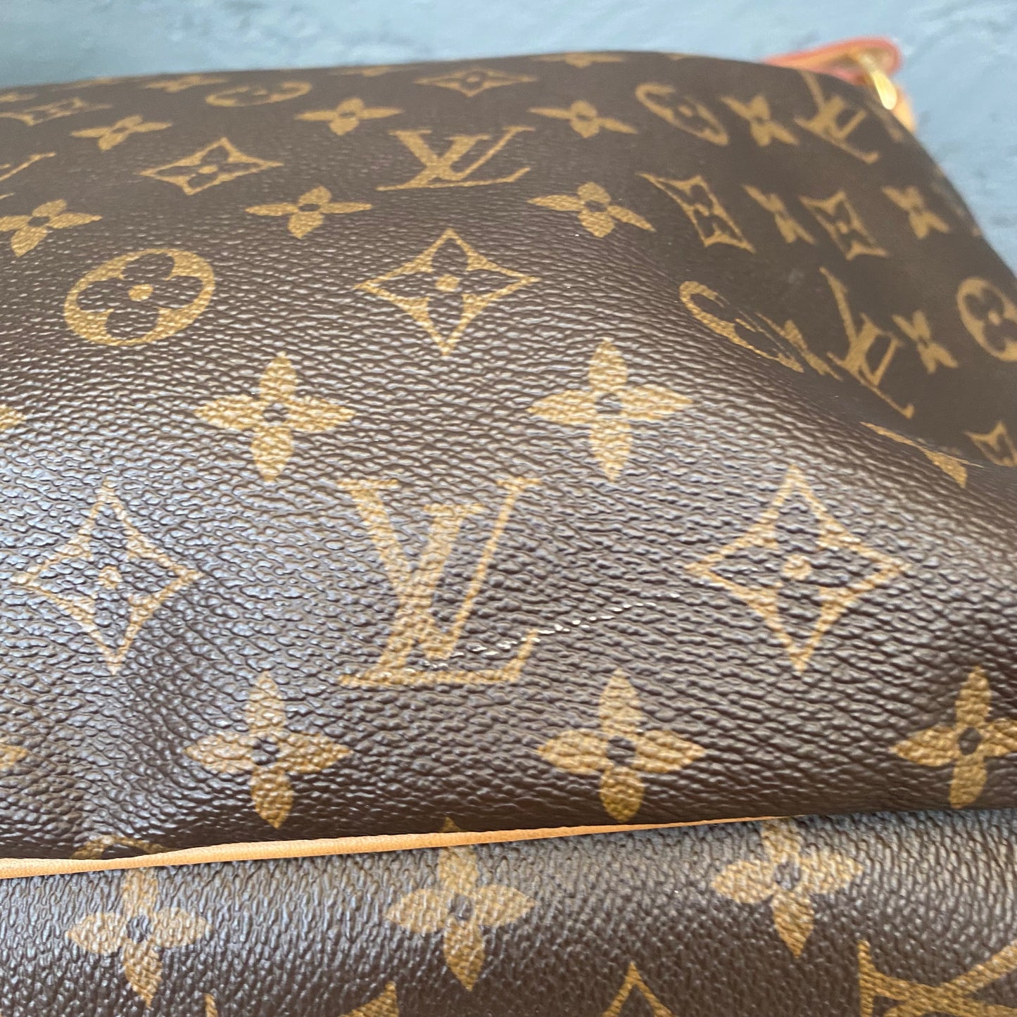 Louis Vuitton Monogram Delightful MM