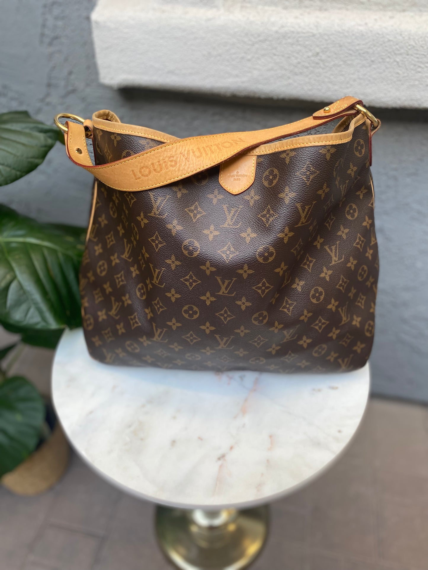 Louis Vuitton Monogram Delightful MM