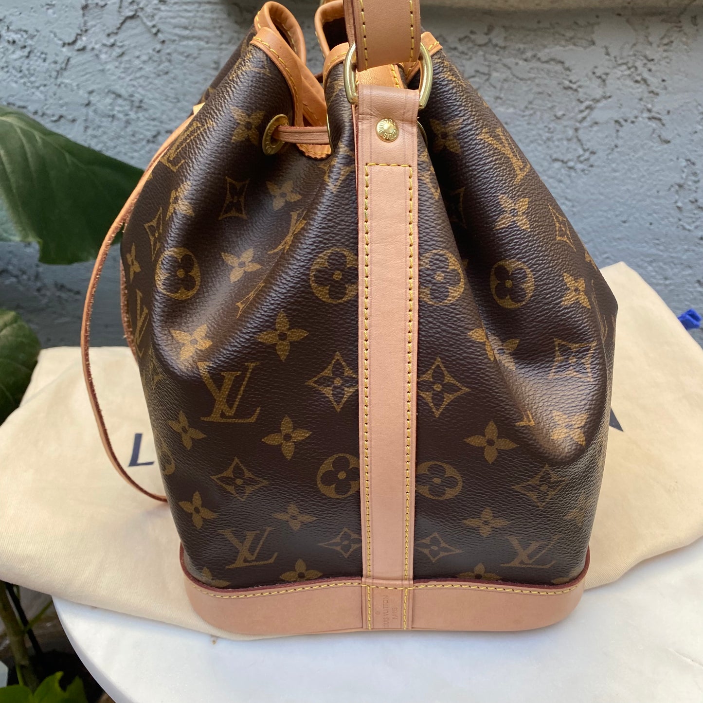 Louis Vuitton Petit Noe Monogram Bucket Bag