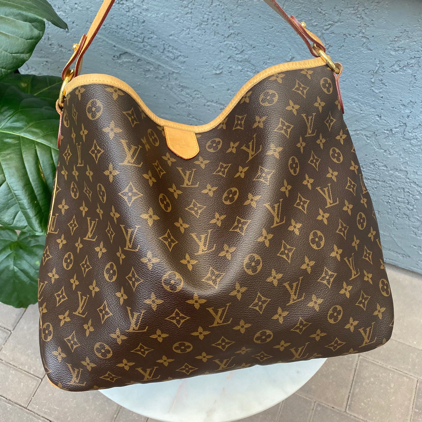 Louis Vuitton Monogram Delightful MM