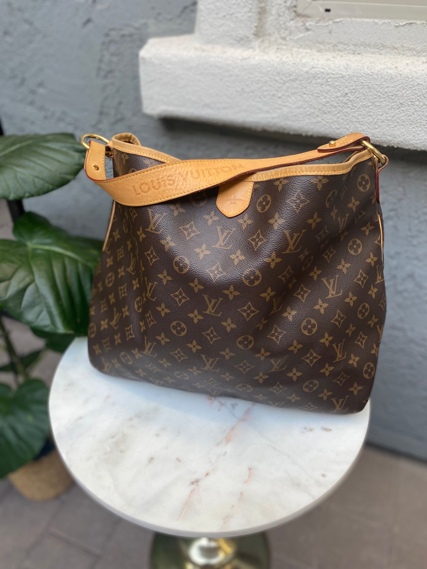 Louis Vuitton Monogram Delightful MM
