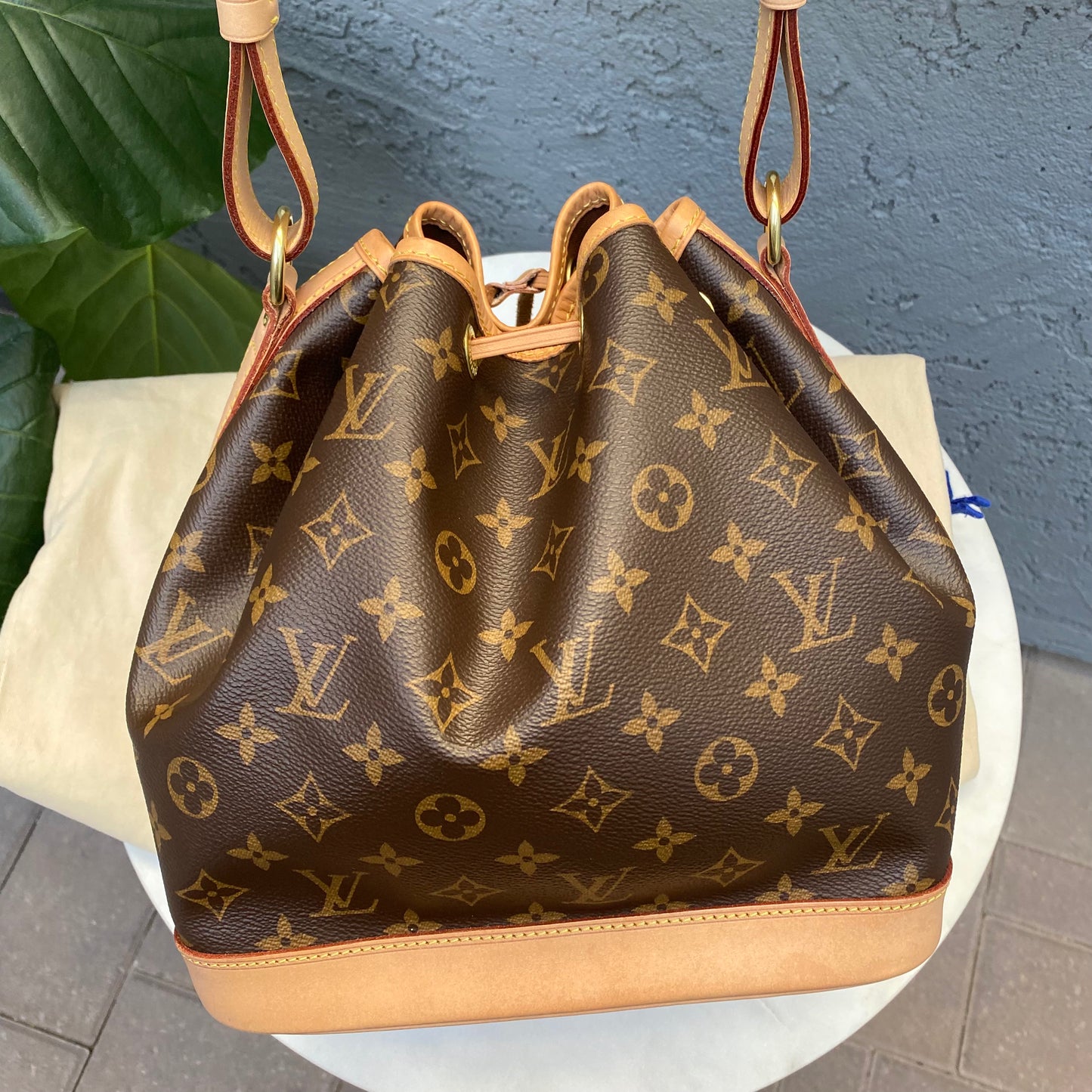 Louis Vuitton Petit Noe Monogram Bucket Bag