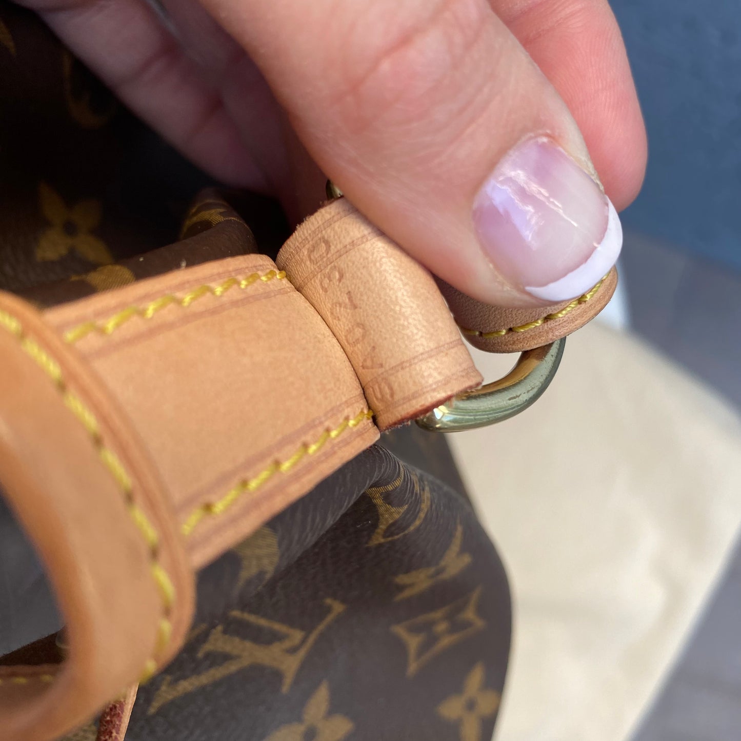 Louis Vuitton Petit Noe Monogram Bucket Bag