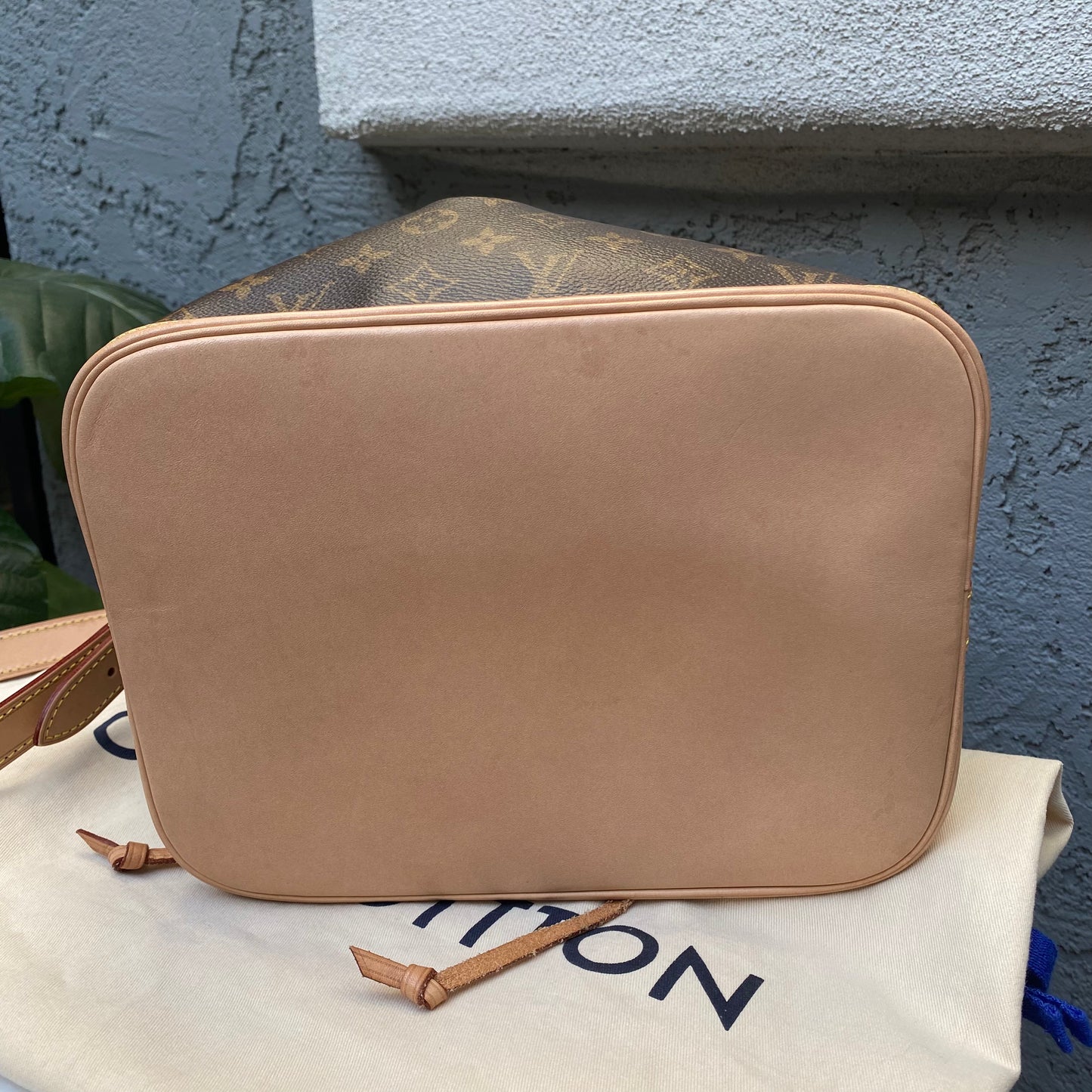 Louis Vuitton Petit Noe Monogram Bucket Bag