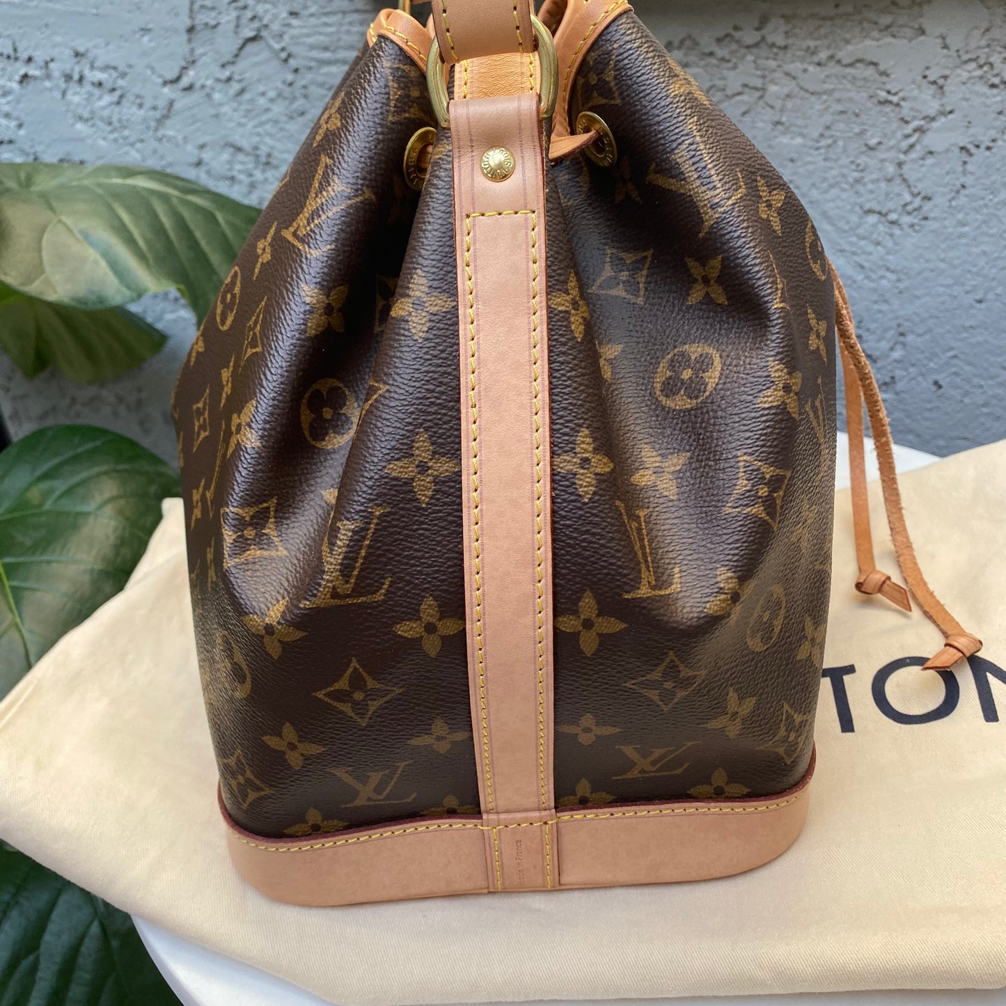 Louis Vuitton Petit Noe Monogram Bucket Bag