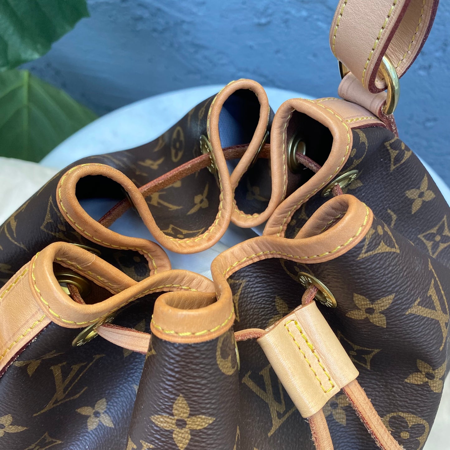 Louis Vuitton Petit Noe Monogram Bucket Bag