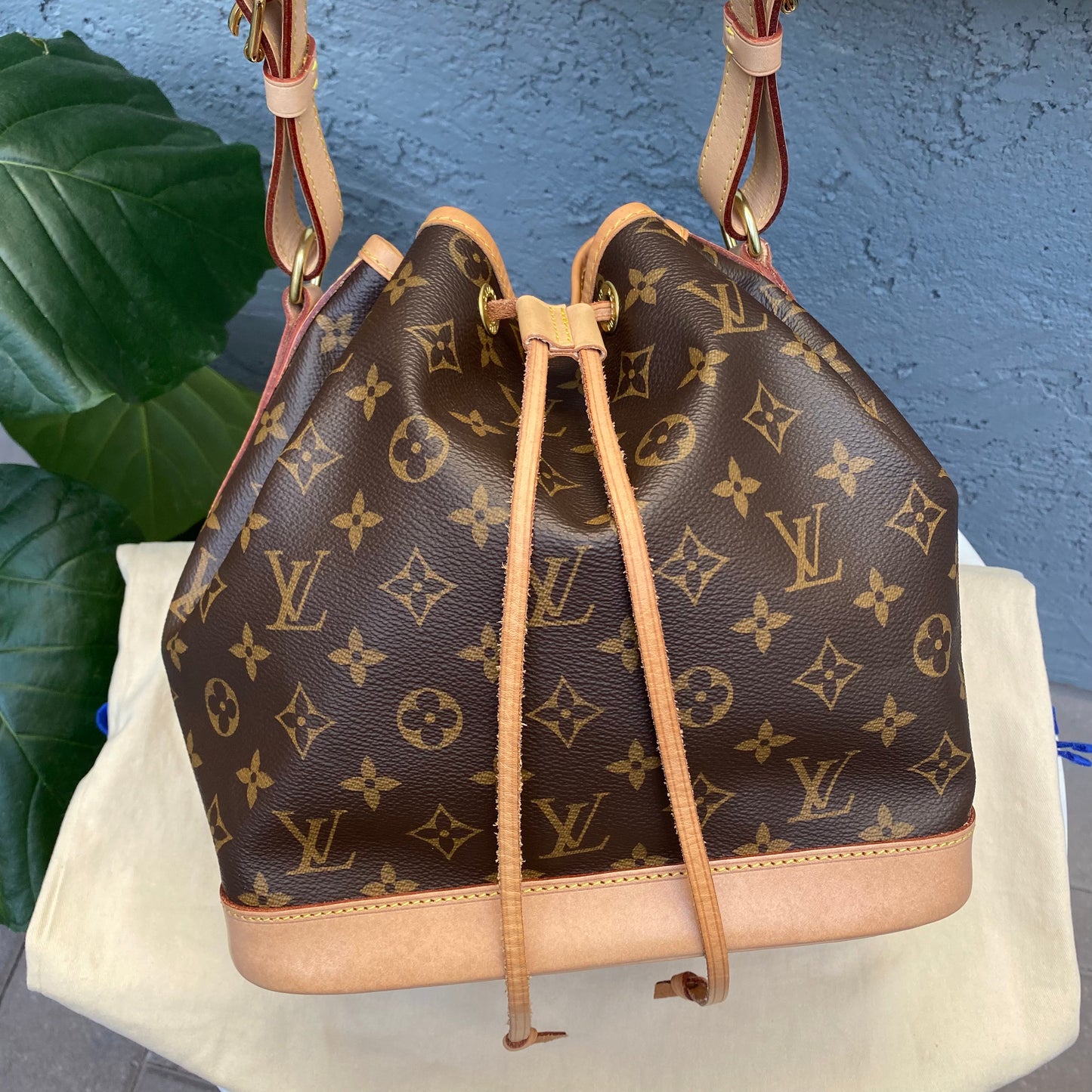 Louis Vuitton Petit Noe Monogram Bucket Bag