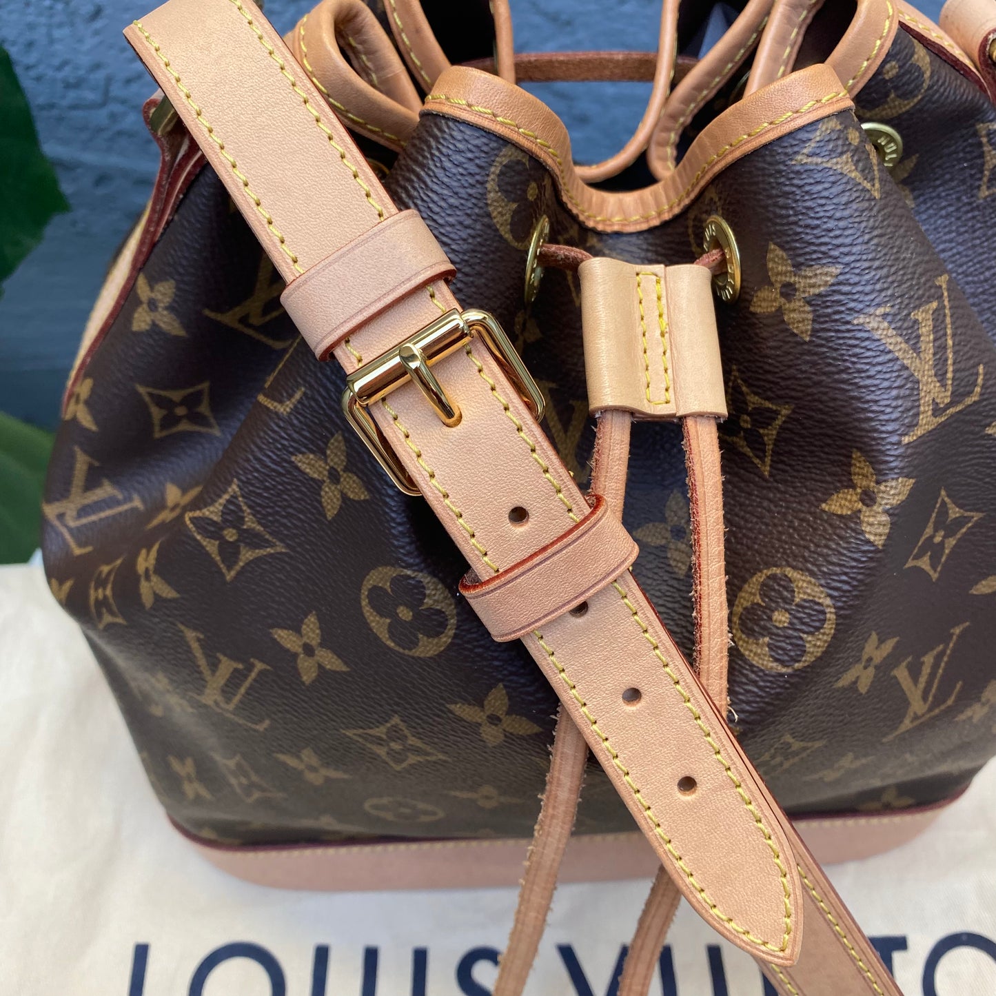 Louis Vuitton Petit Noe Monogram Bucket Bag