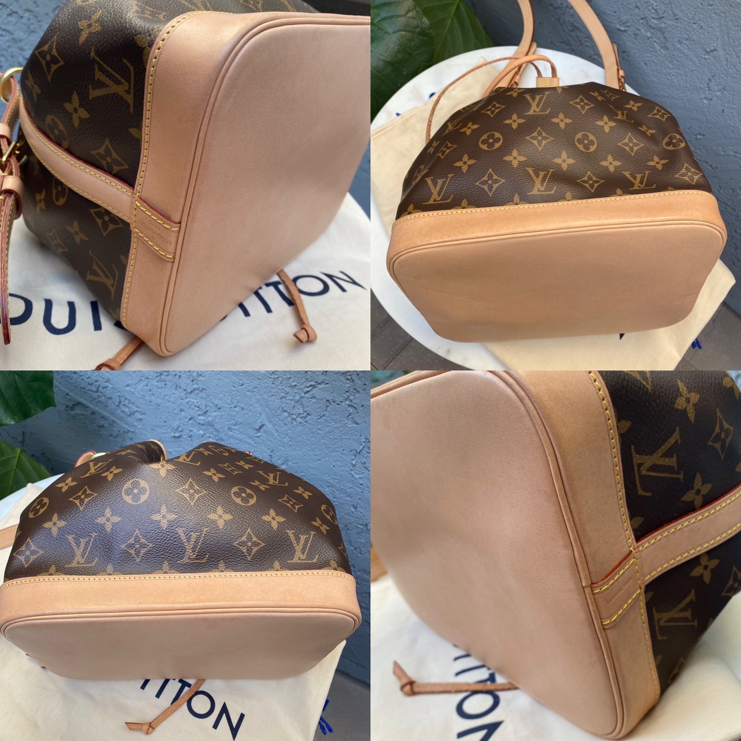 Louis Vuitton Petit Noe Monogram Bucket Bag