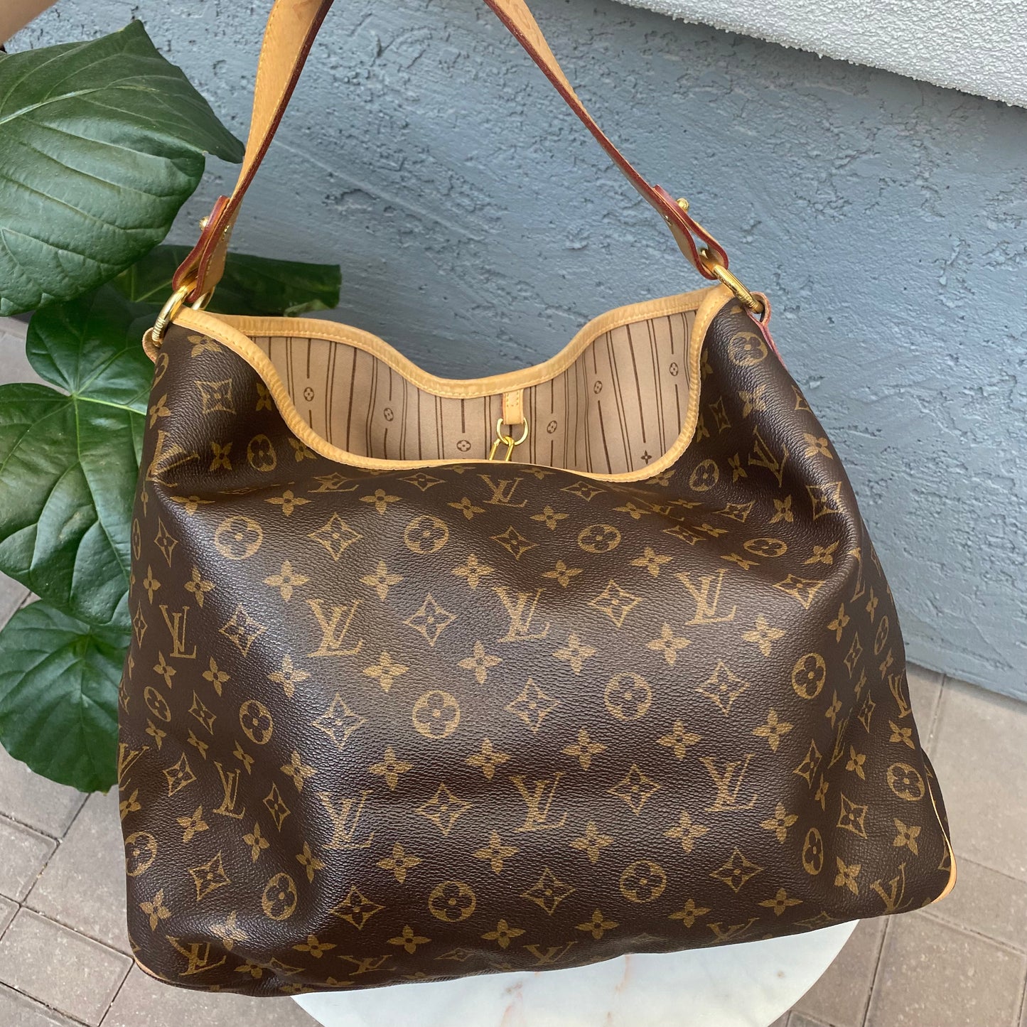 Louis Vuitton Monogram Delightful MM