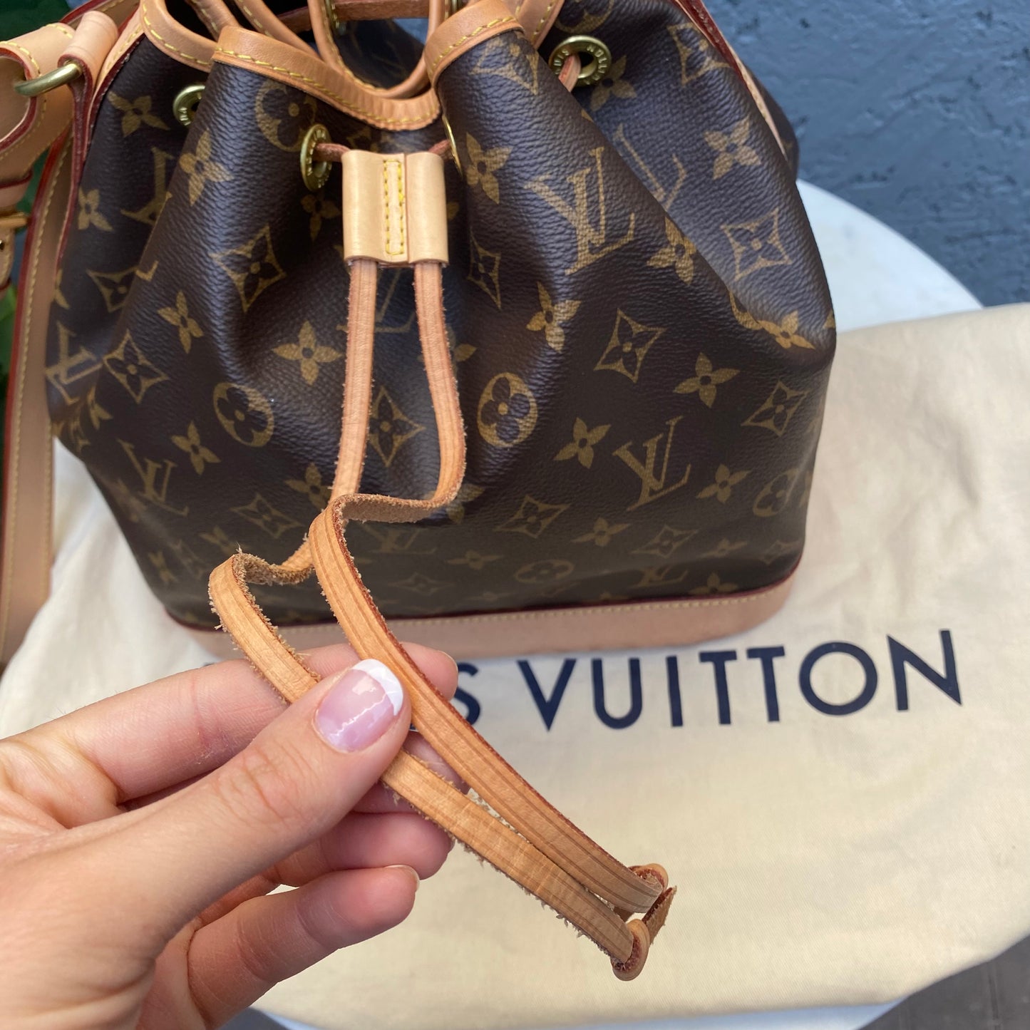 Louis Vuitton Petit Noe Monogram Bucket Bag