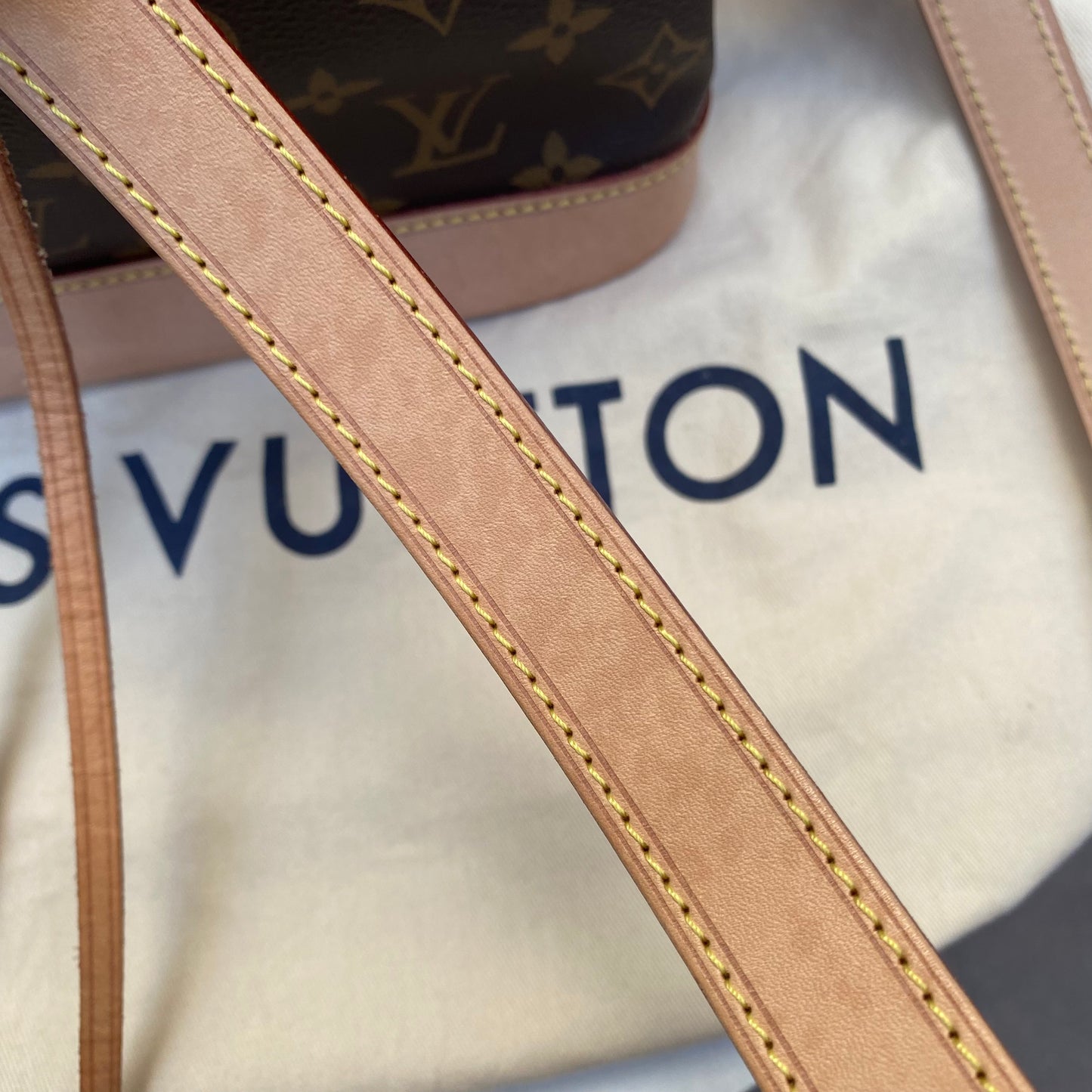 Louis Vuitton Petit Noe Monogram Bucket Bag