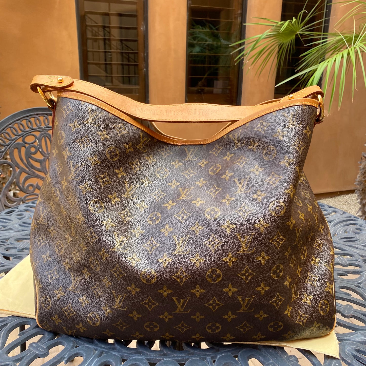 Louis Vuitton Monogram Delightful GM Hobo