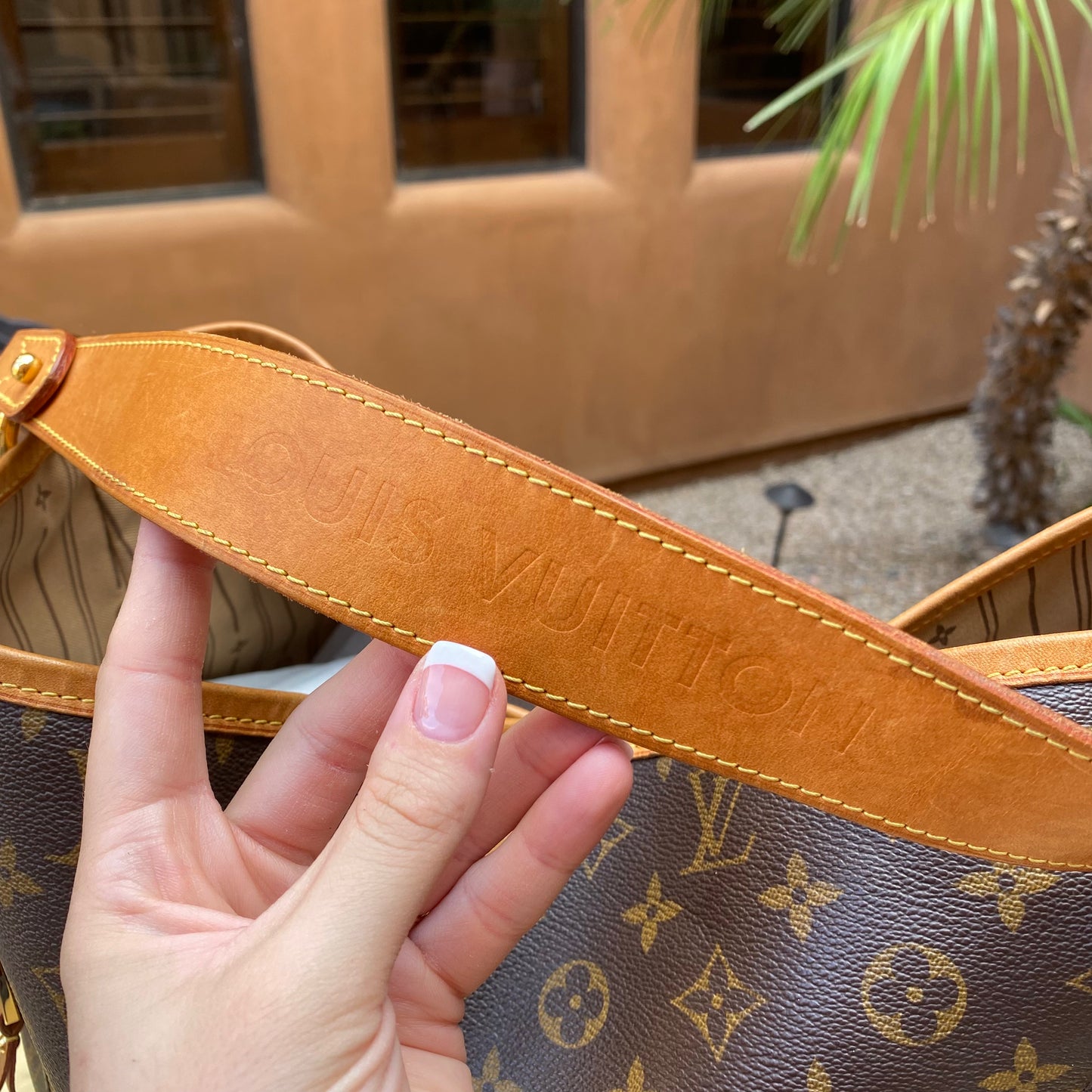 Louis Vuitton Monogram Delightful GM Hobo