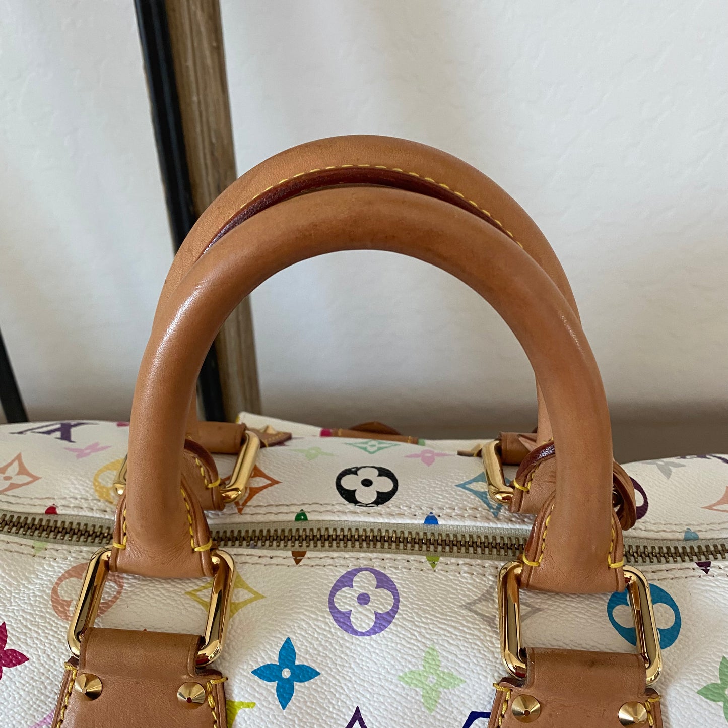 Louis Vuitton Speedy 30 Multicolor